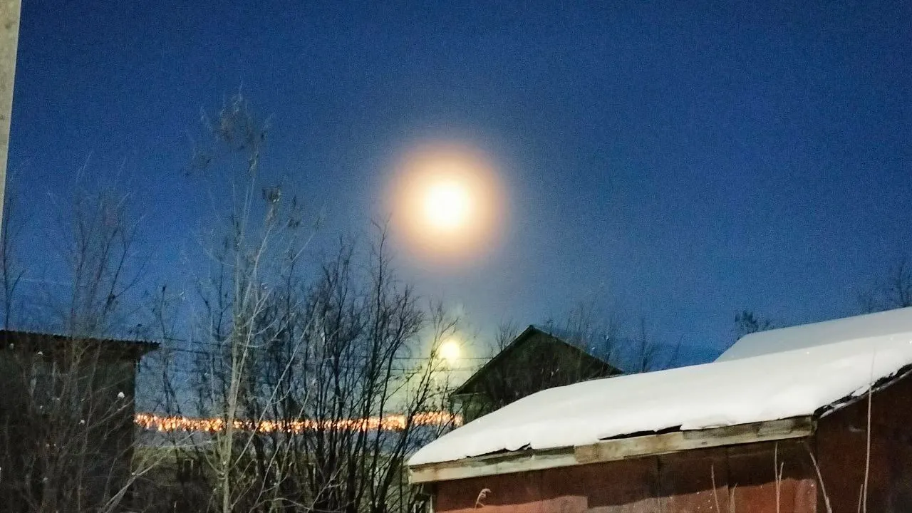 Фото: Владимир Ганчерко / «Ямал-Медиа»