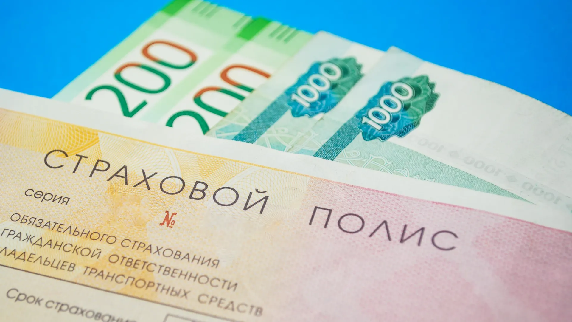 Фото: Dmitriy NDM / Shutterstock / Fotodom