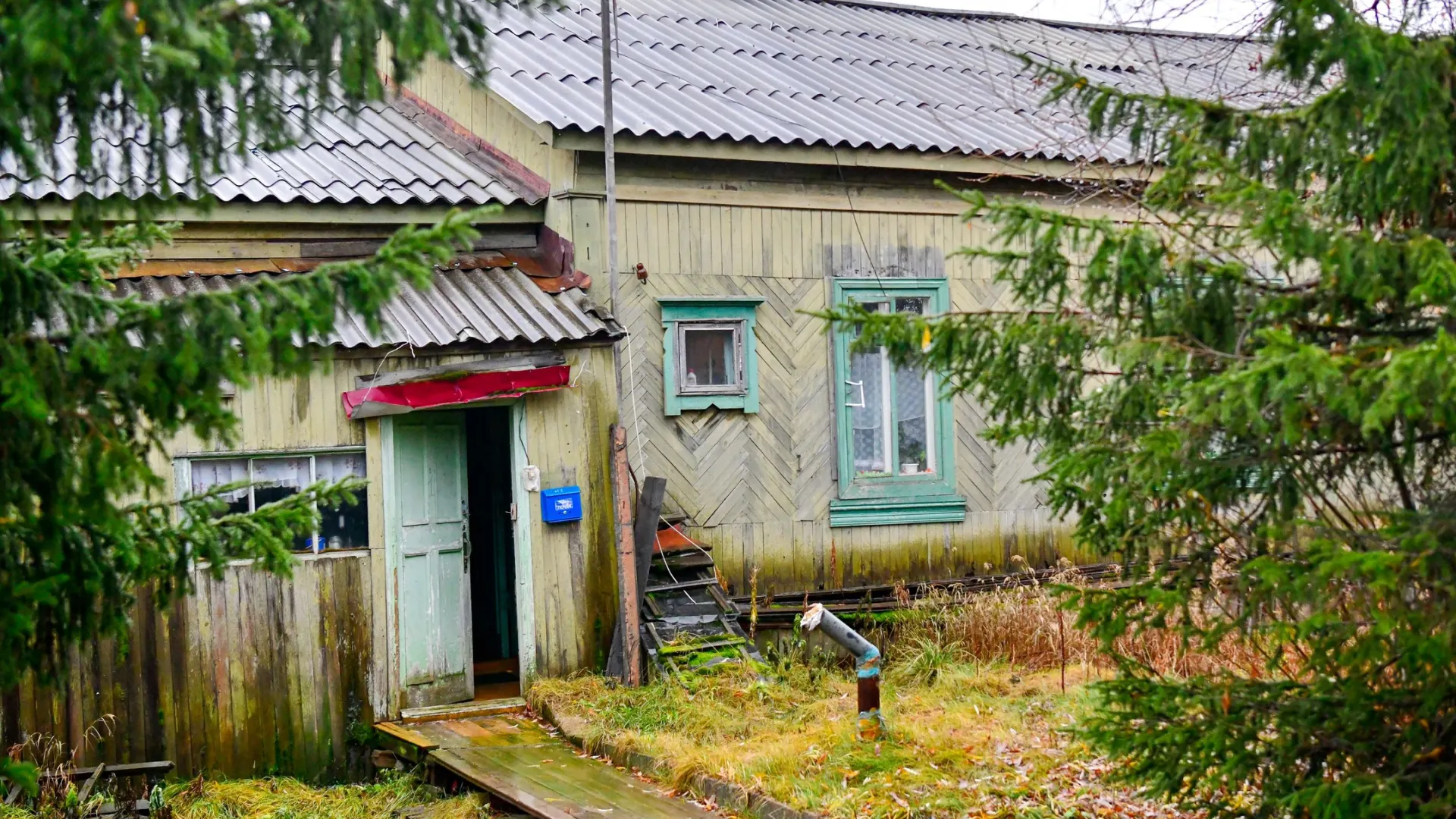 Фото: Андрей Ткачев / «Ямал-Медиа»