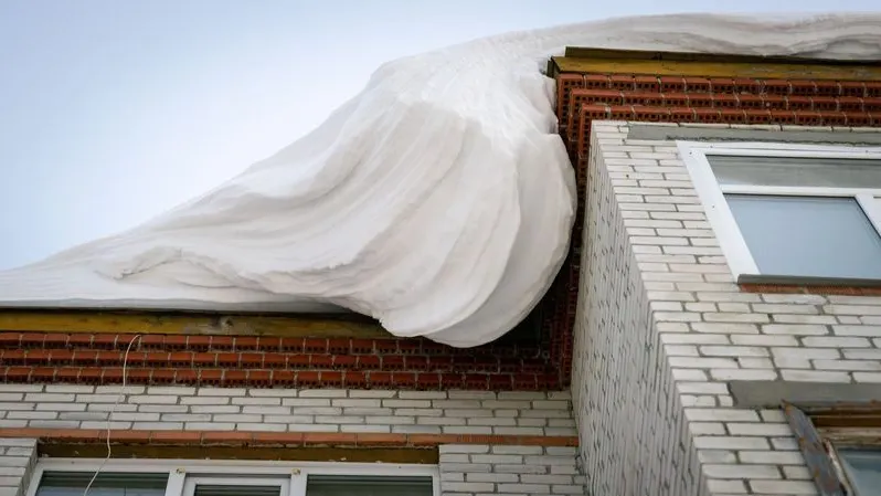 Фото: Федор Воронов / «Ямал-Медиа»