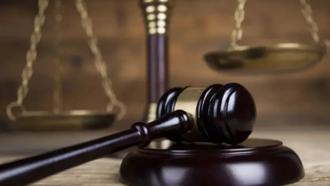 Фото: Sebastian Duda/ Shutterstock / Fotodom