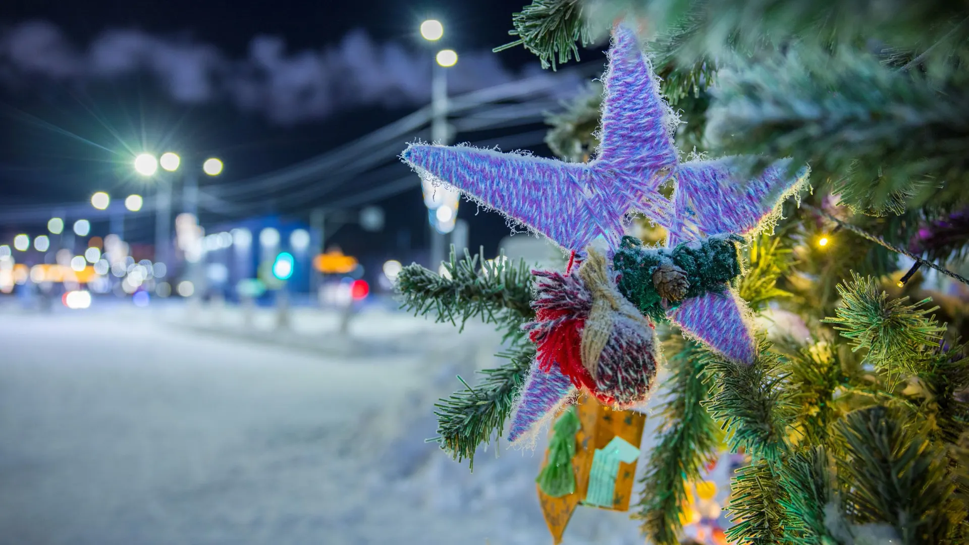 Фото: Федор Воронов / «Ямал-Медиа»