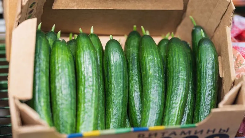 Фото: Федор Воронов / «Ямал-Медиа»