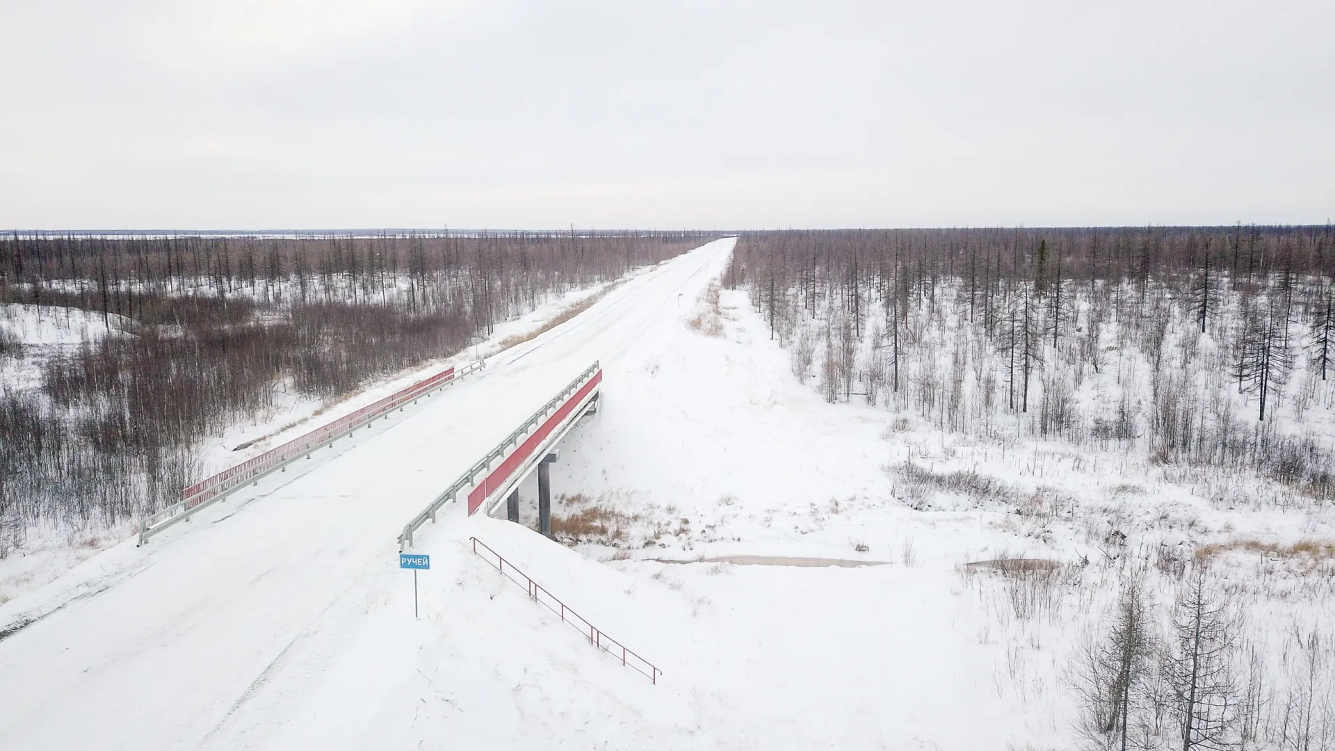 Фото: Сергей Зубков /  «Ямал-Медиа»