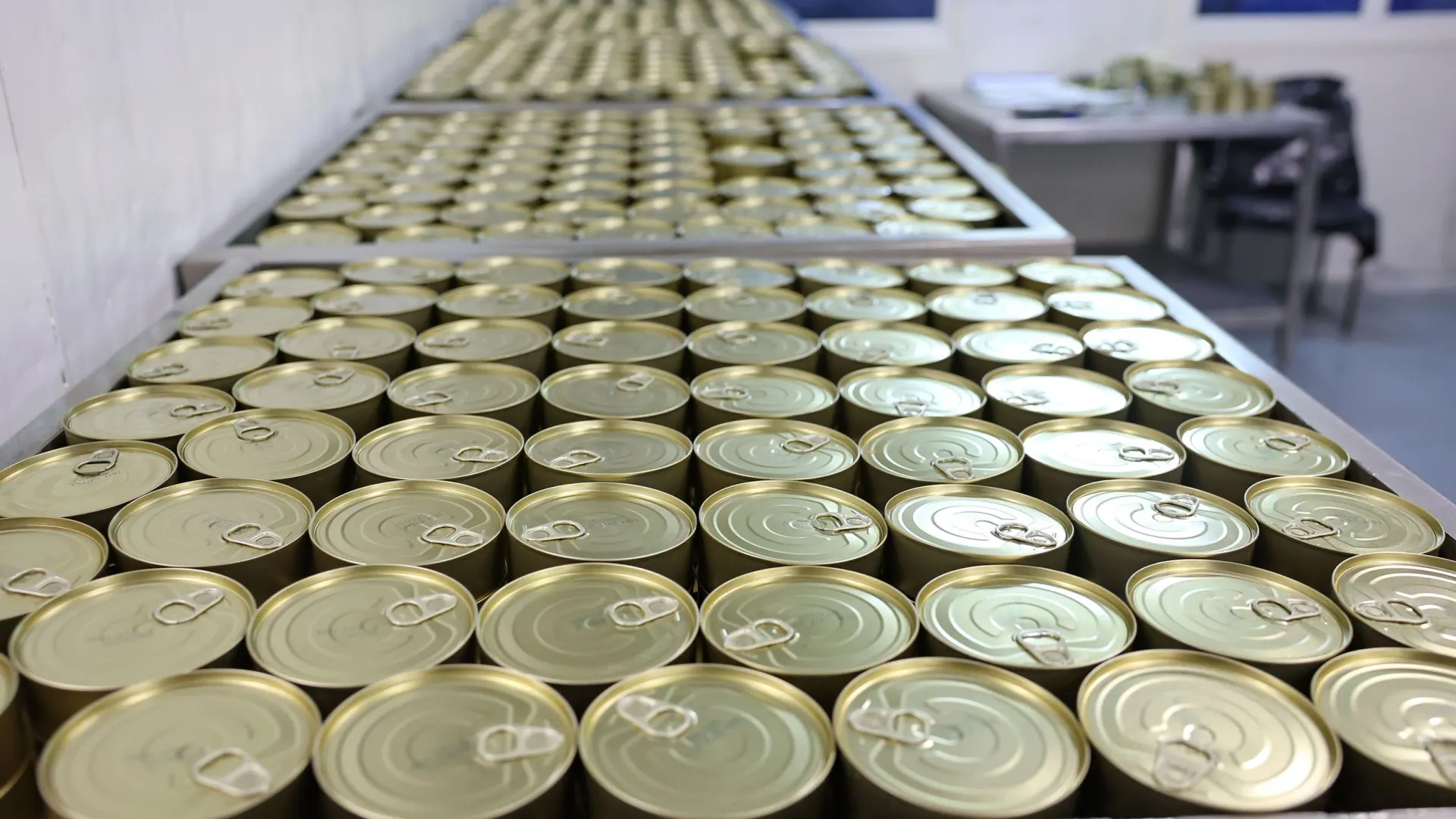 Фото: Андрей Ткачев / «Ямал-Медиа»