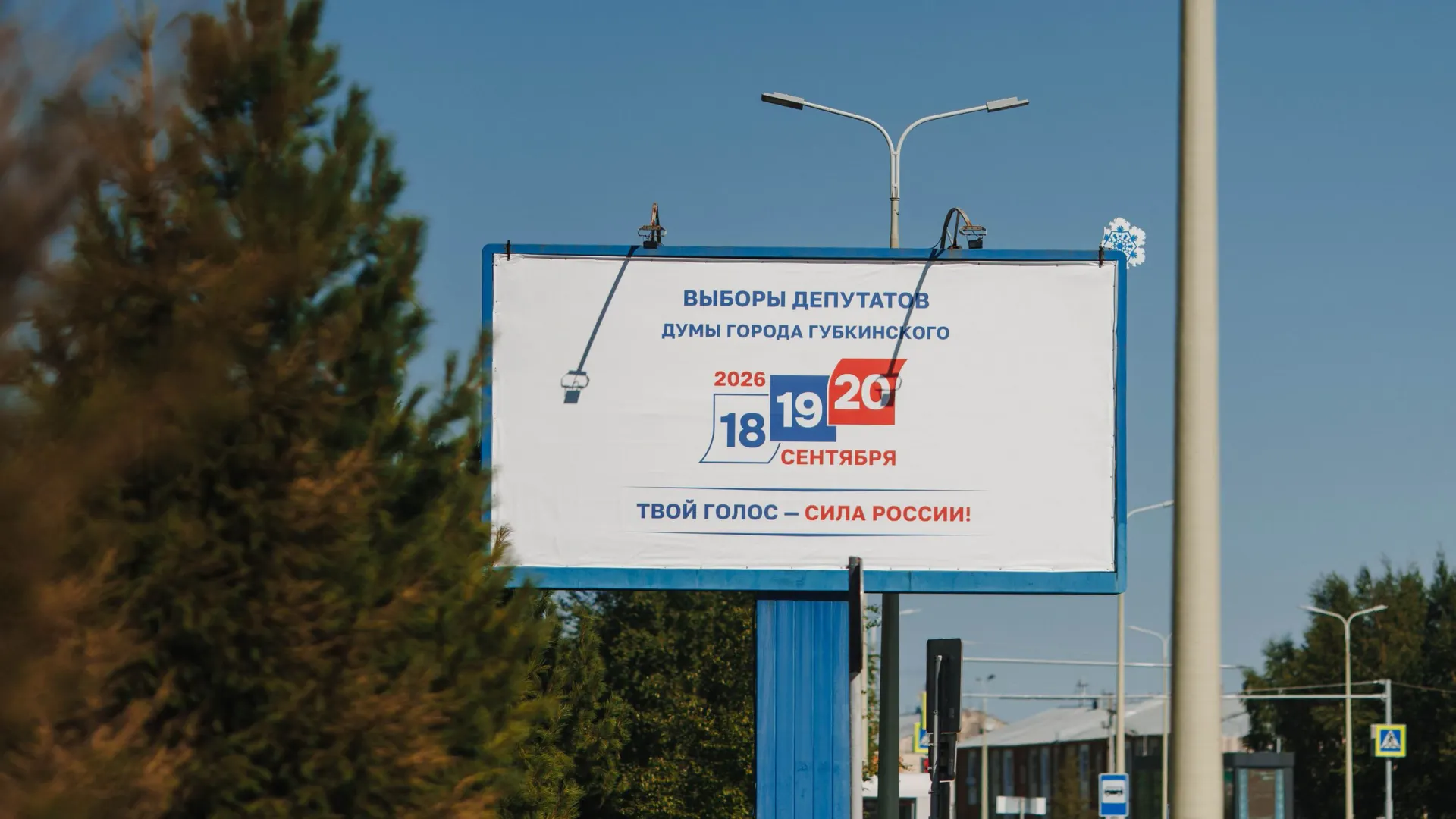 Фото: Алина Дьякова / «Ямал-Медиа»