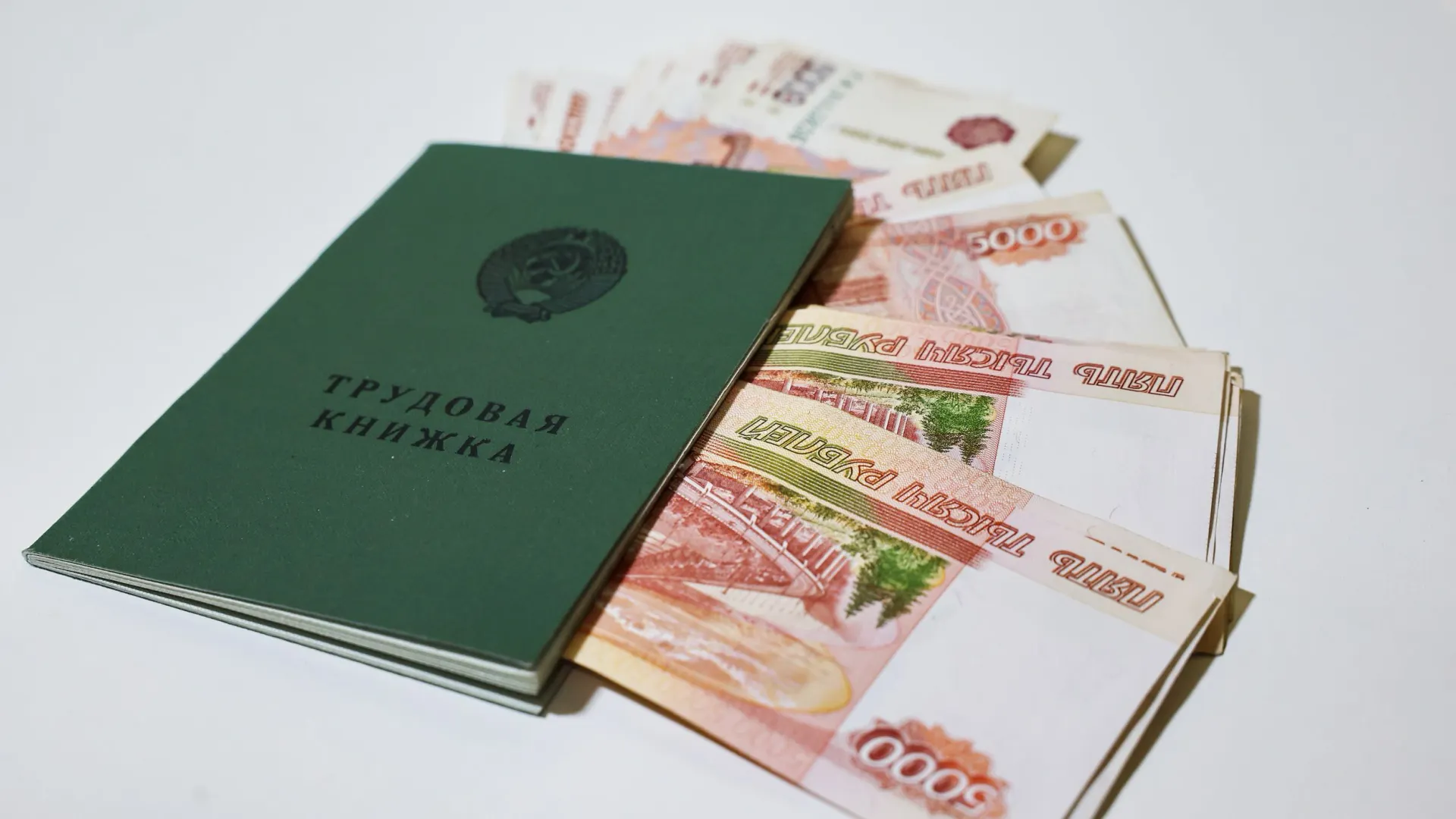 Фото: Андрей Ткачев / «Ямал-Медиа»