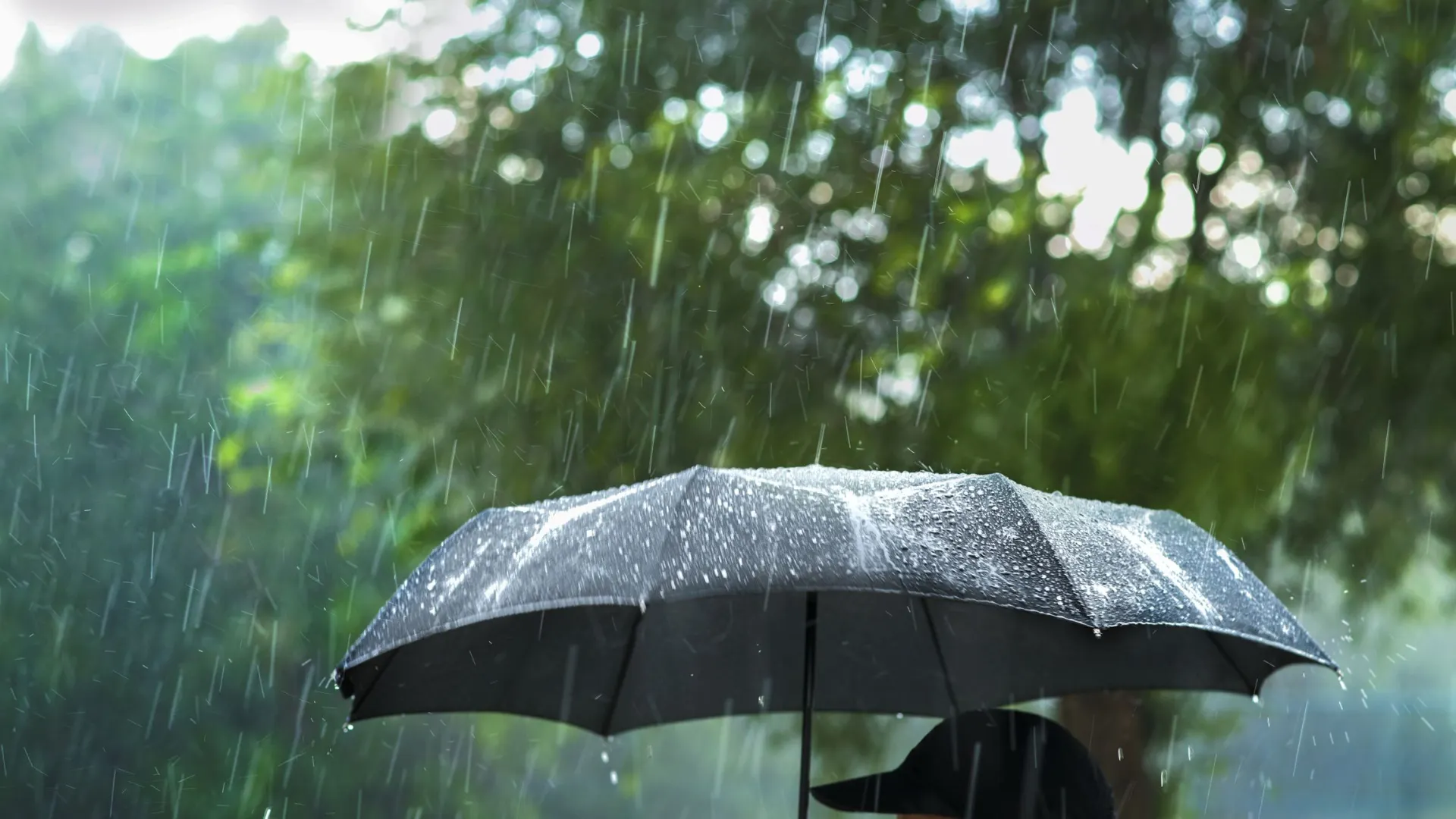 Фото: Niyom Napalai / Shutterstock / Fotodom