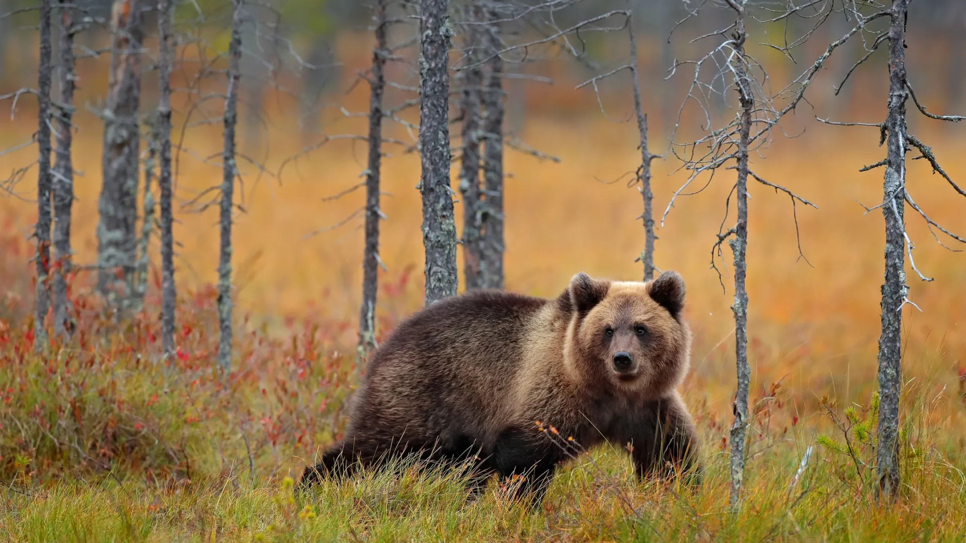Фото: Ondrej Prosicky/Shutterstock/Fotodom