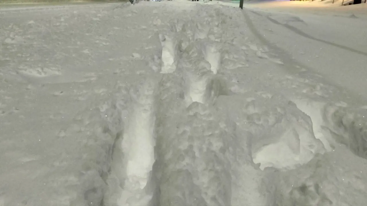 Снегопад в Салехарде. Фото: Владимир Ганчерко / «Ямал-Медиа»