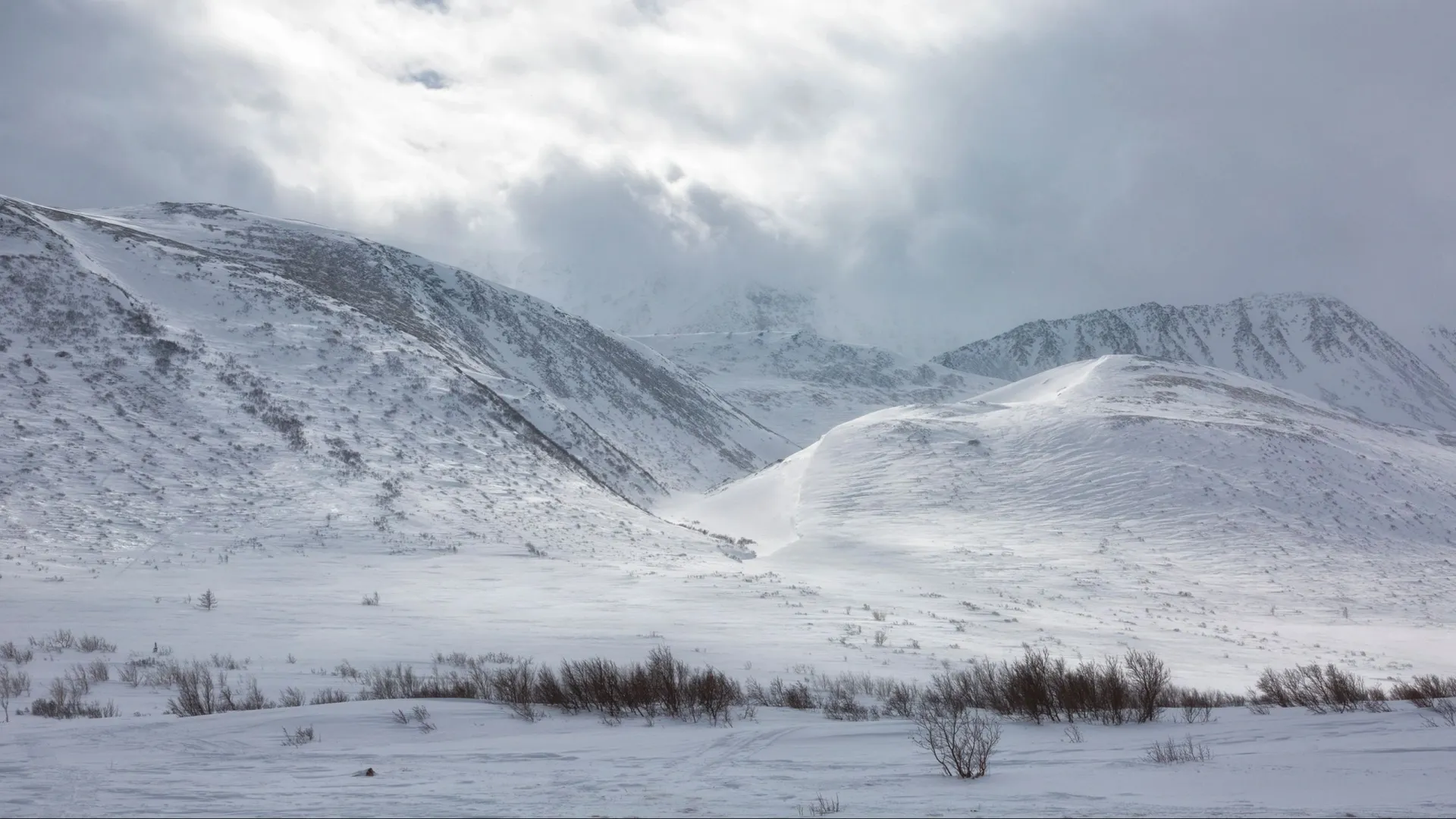 Безымянным вершинам Полярного Урала присвоят имена. Фото: Shchipkova Elena / Shutterstock / Fotodom