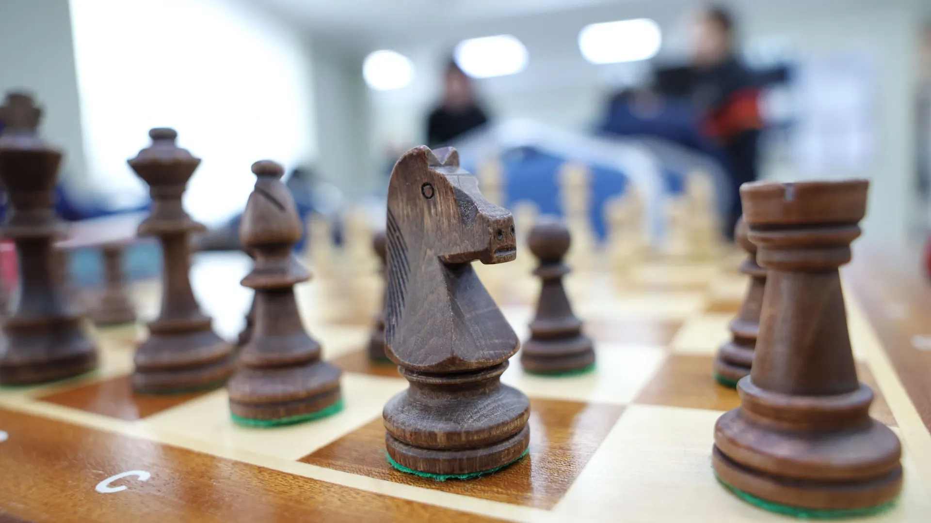 Фото: Андрей Ткачев / «Ямал-Медиа»