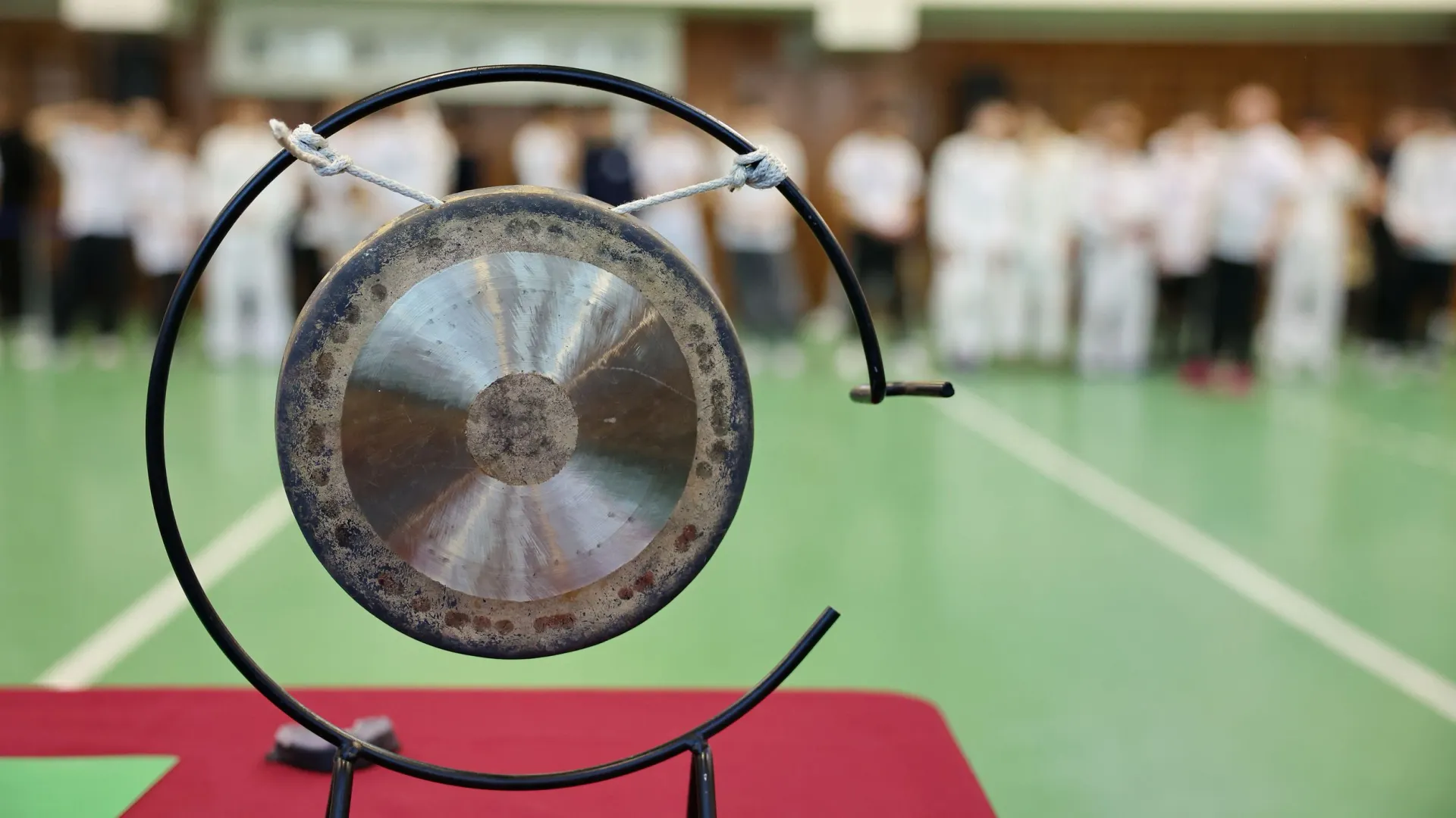 Фото: Андрей Ткачев / «Ямал-Медиа»