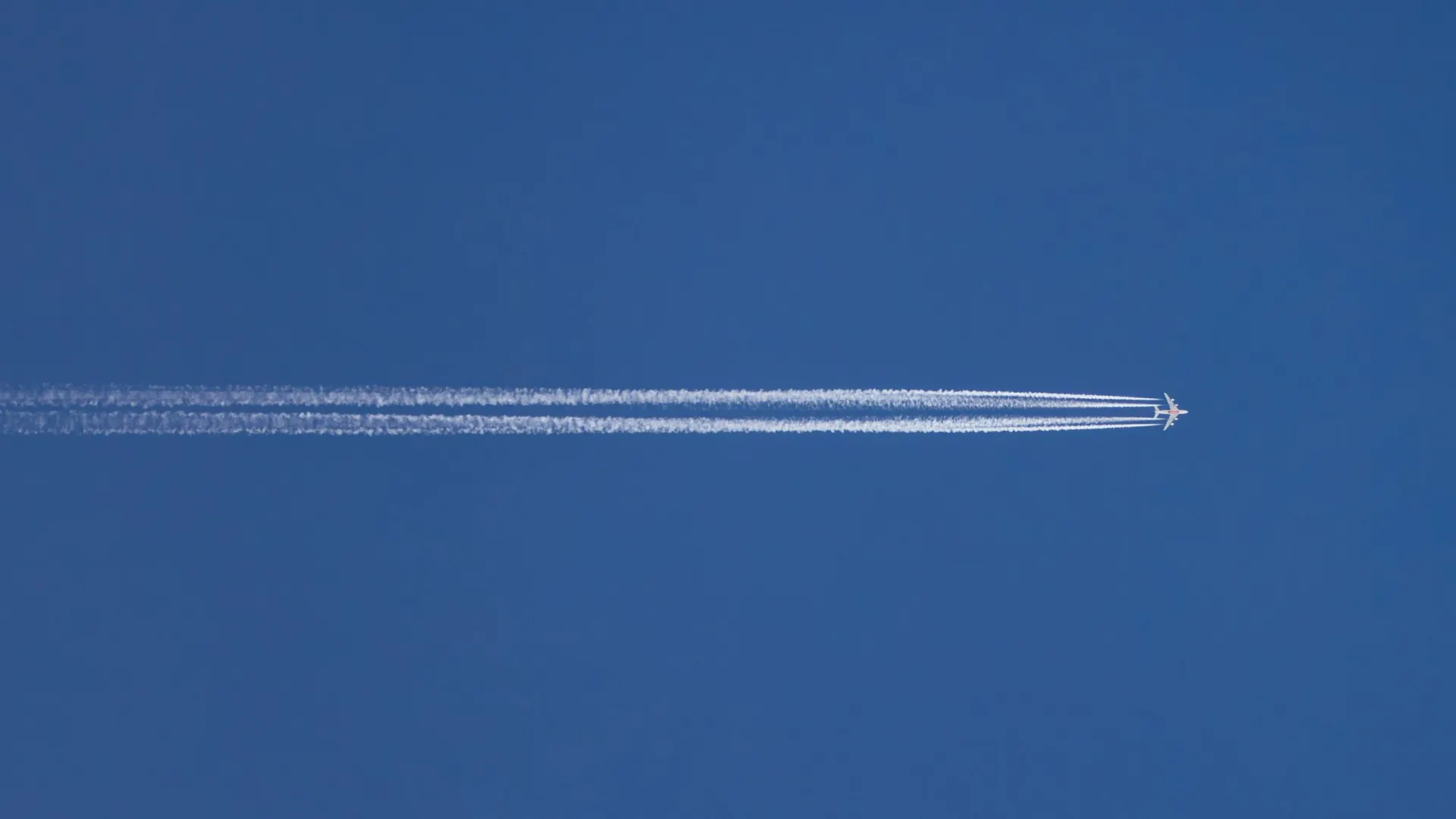 Фото: Федор Воронов / «Ямал-Медиа»