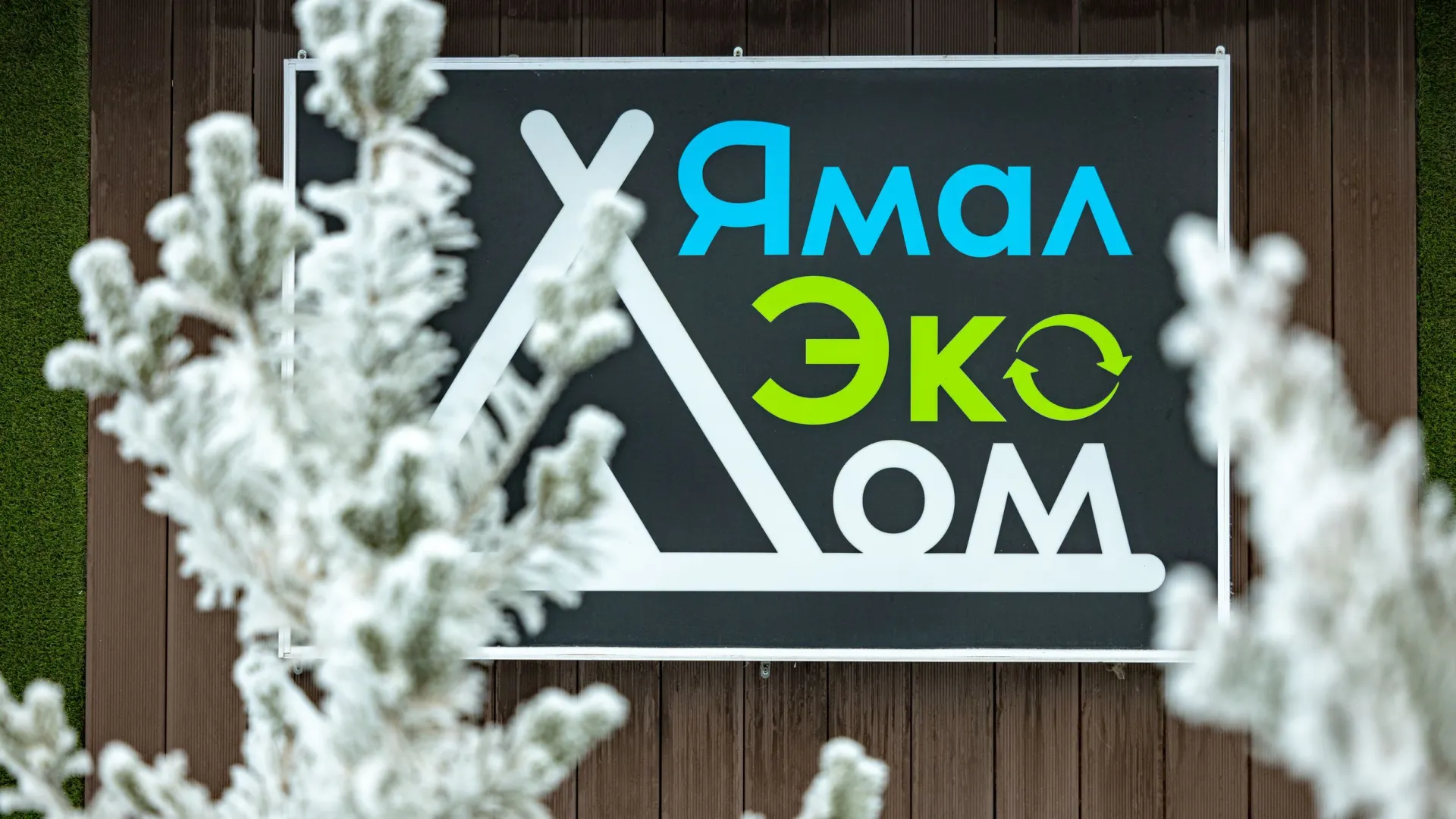 Фото: Сергей Зубков / «Ямал-Медиа»