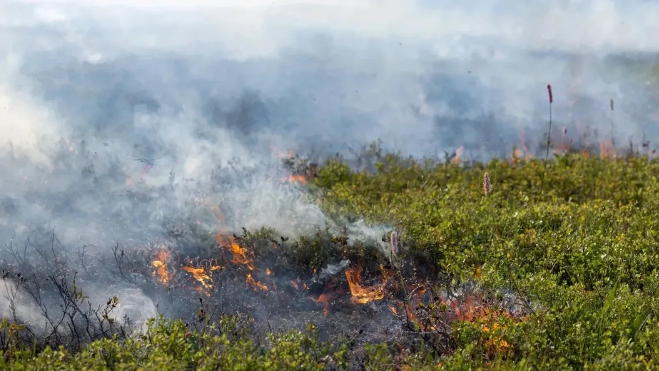 Фото: Юлия Чудинова / «Ямал-Медиа»