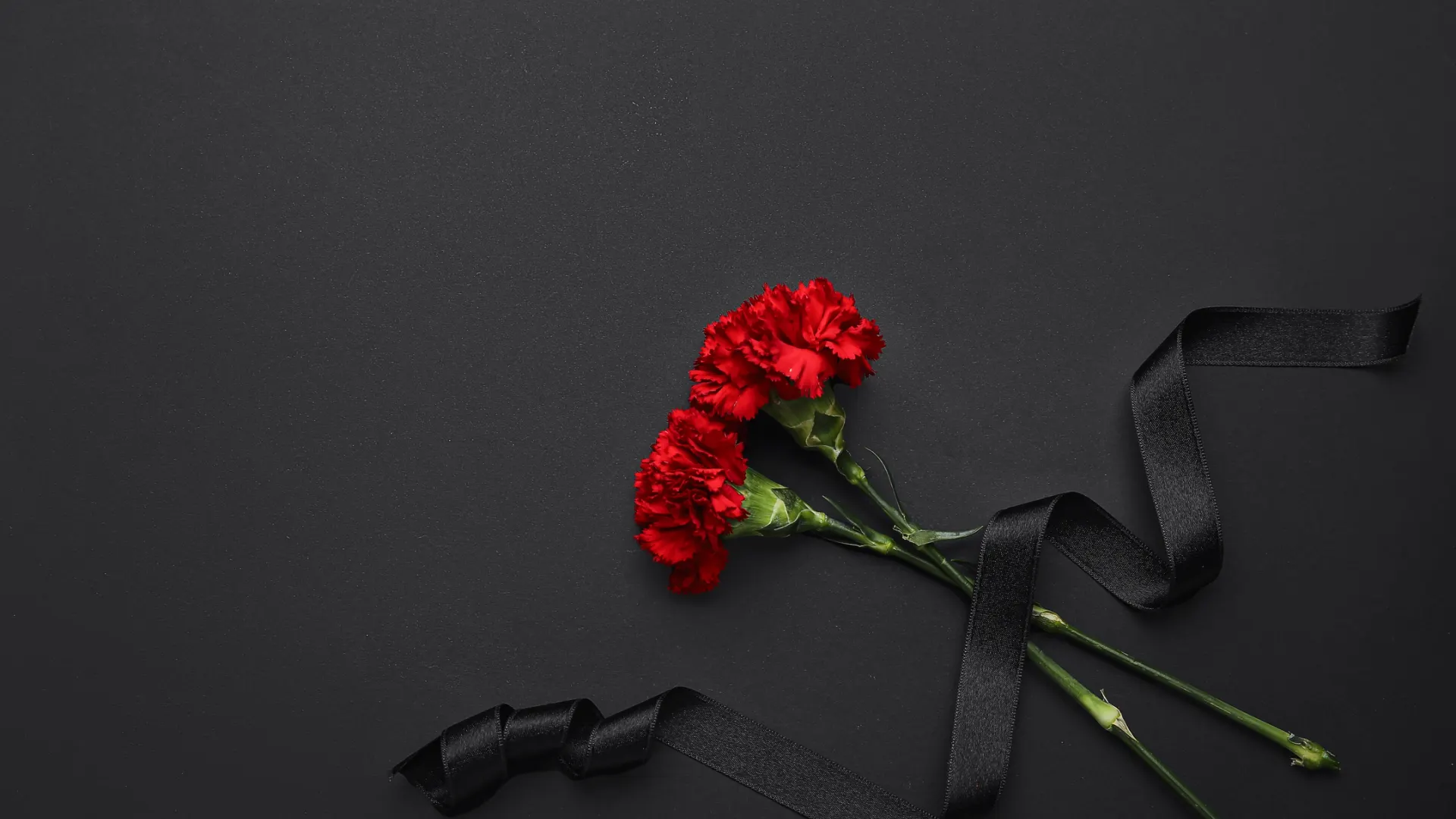 Фото: Pixel-Shot /Shutterstock/Fotodom