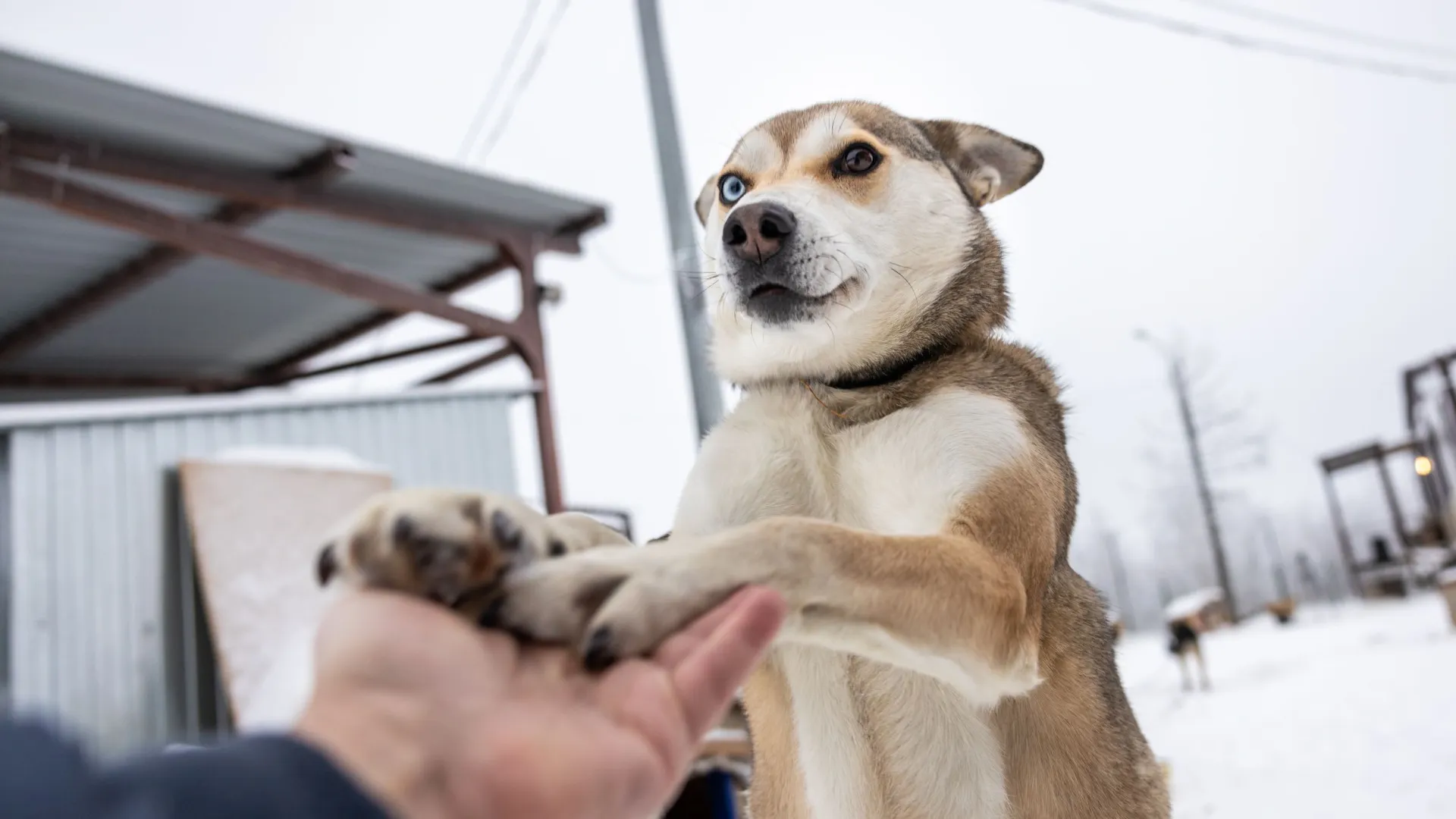 Фото: Федор Воронов / «Ямал-Медиа»