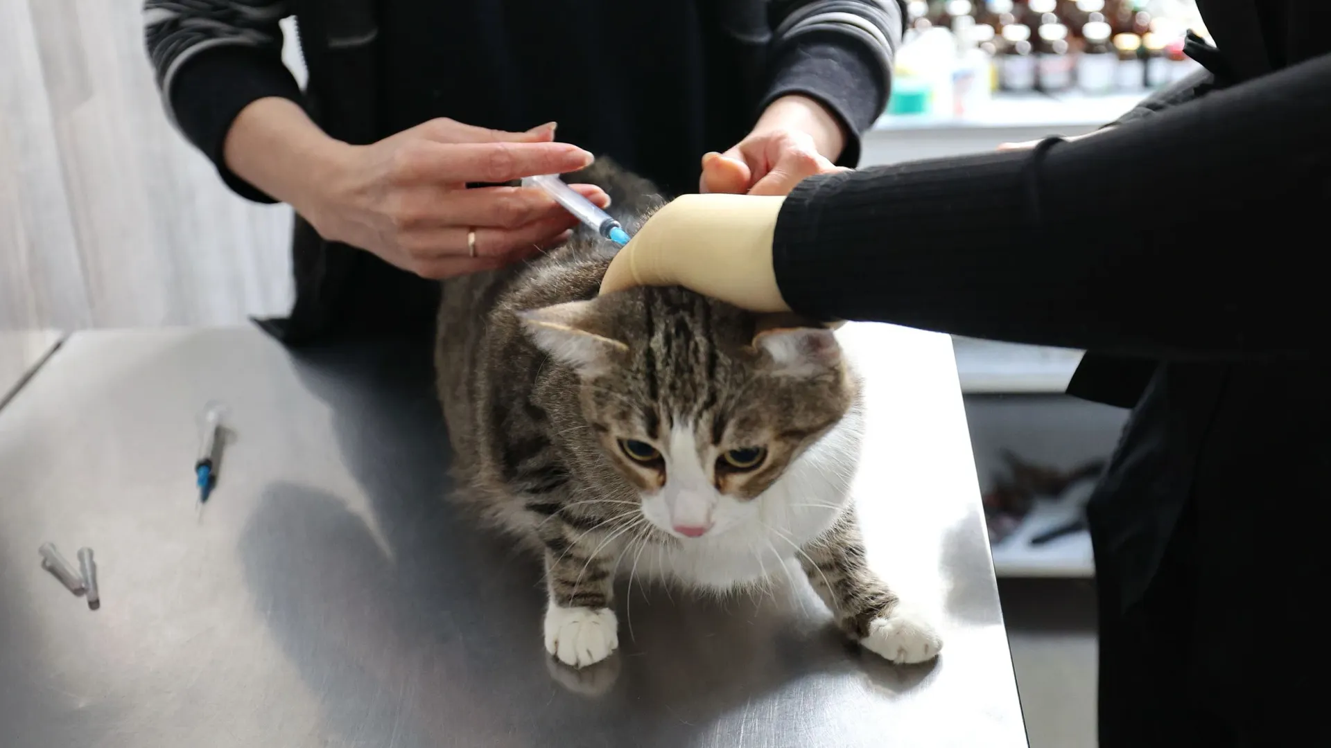 Фото: Андрей Ткачев / «Ямал-Медиа»