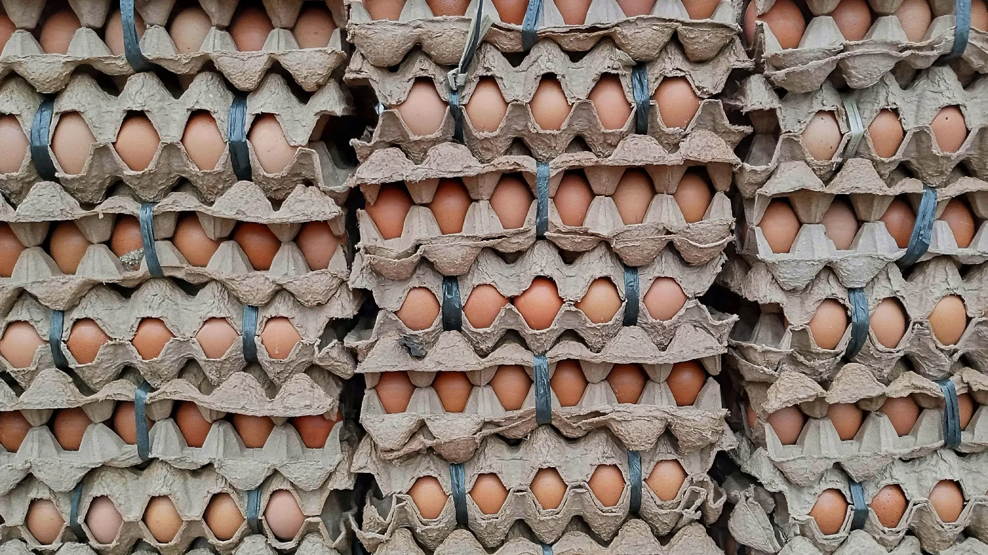 Фото: dapict_ure/Shutterstock/Fotodom