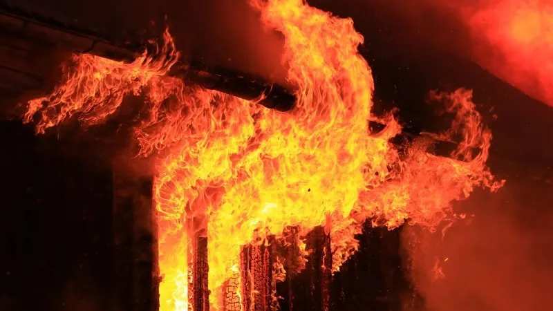 Фото: Mattias Bokinge / Shutterstock / Fotodom