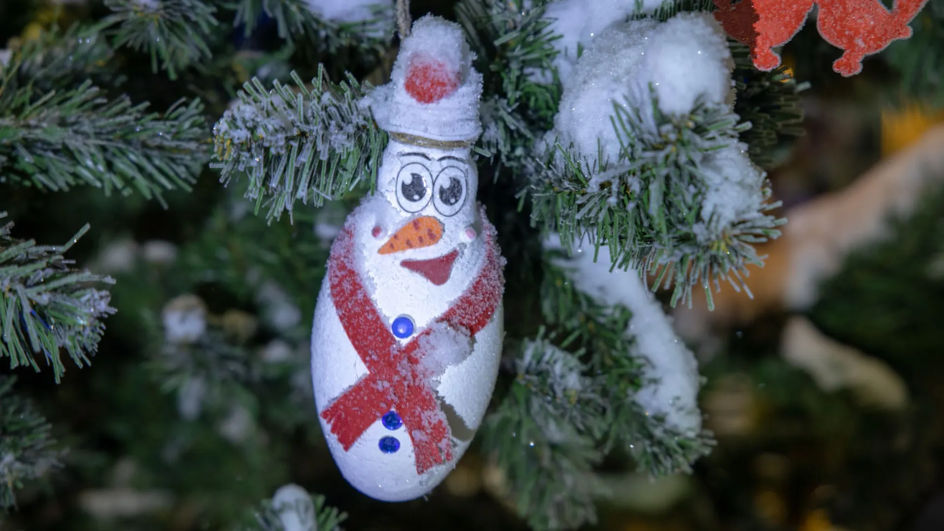 Фото: Федор Воронов / «Ямал-Медиа»