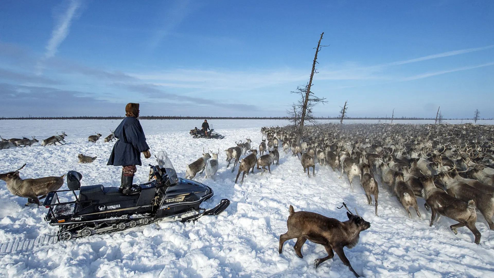 Фото: Sergey Rusanov / Shutterstock / Fotodom