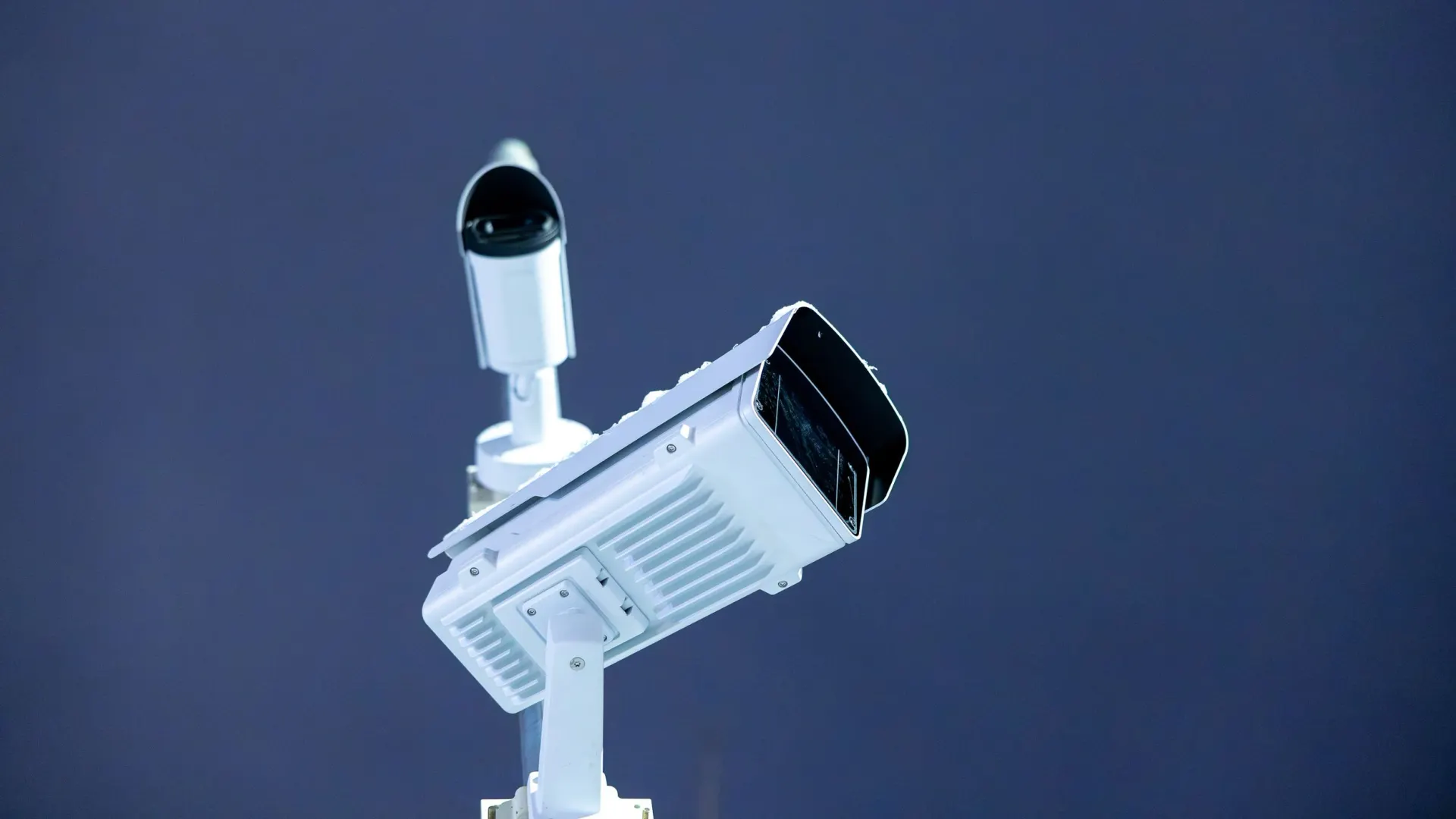 Фото: Федор Воронов / «Ямал-Медиа»