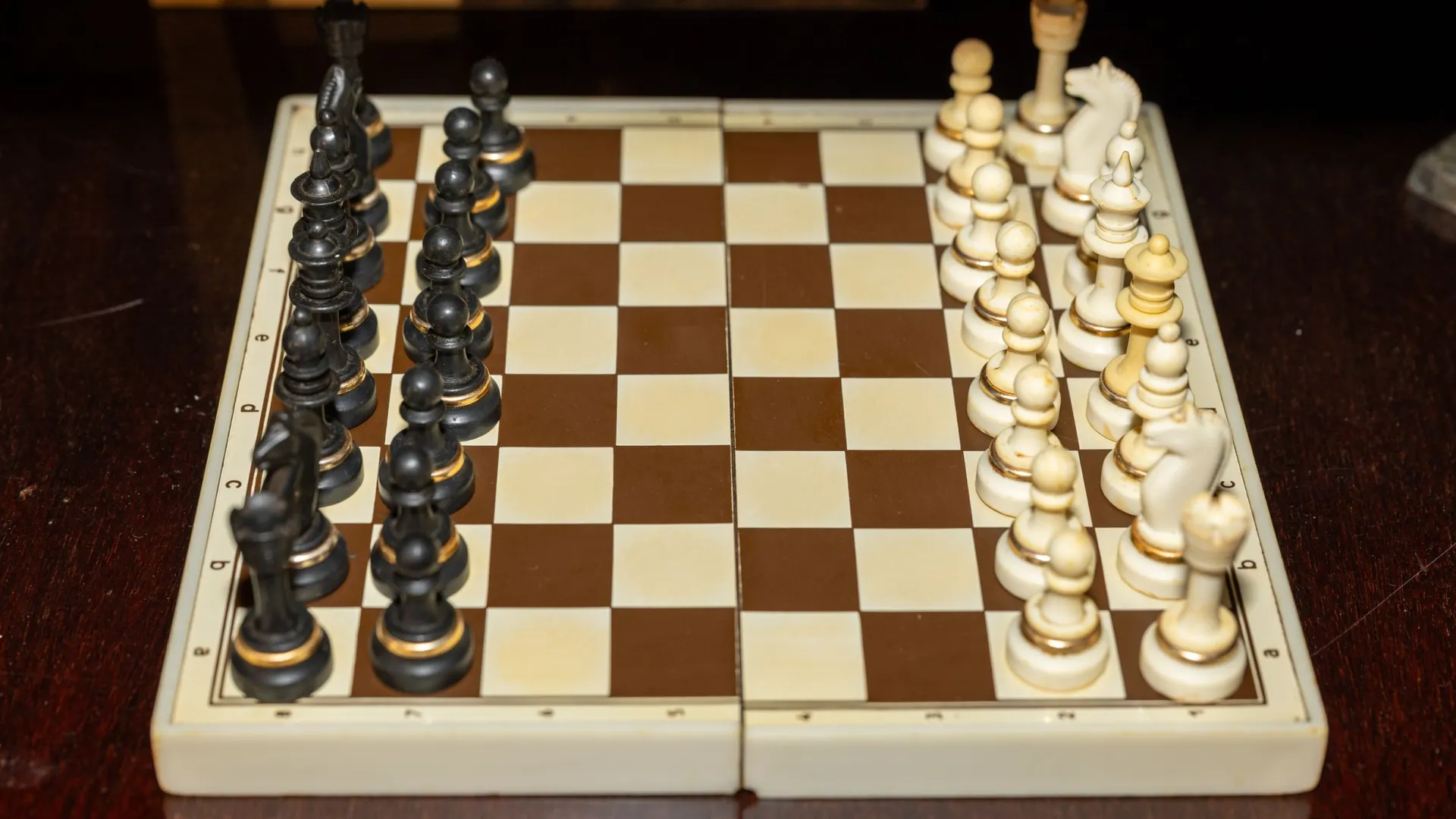 Фото: Александр Чирва / «Ямал-Медиа»