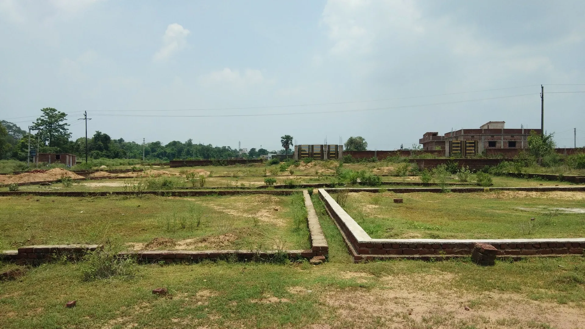 Фото: Roshan Das / Shutterstock / Fotodom
