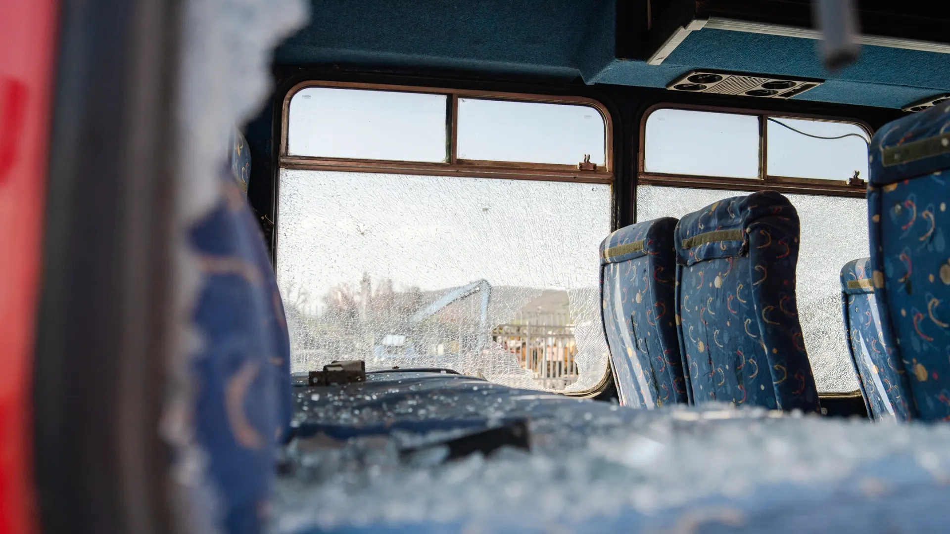 Фото: Miljan Zivkovic / Shutterstock / Fotodom