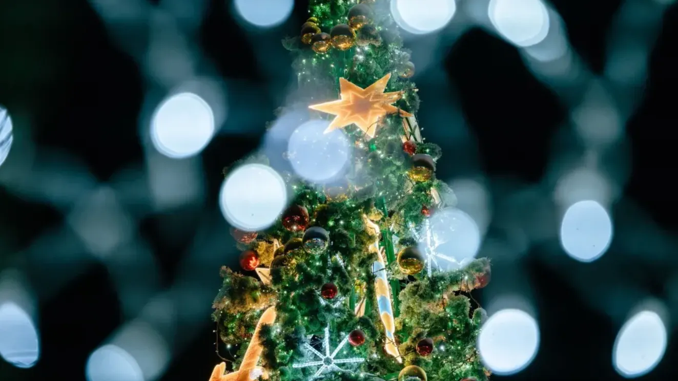 Фото: Федор Воронов / «Ямал-Медиа»