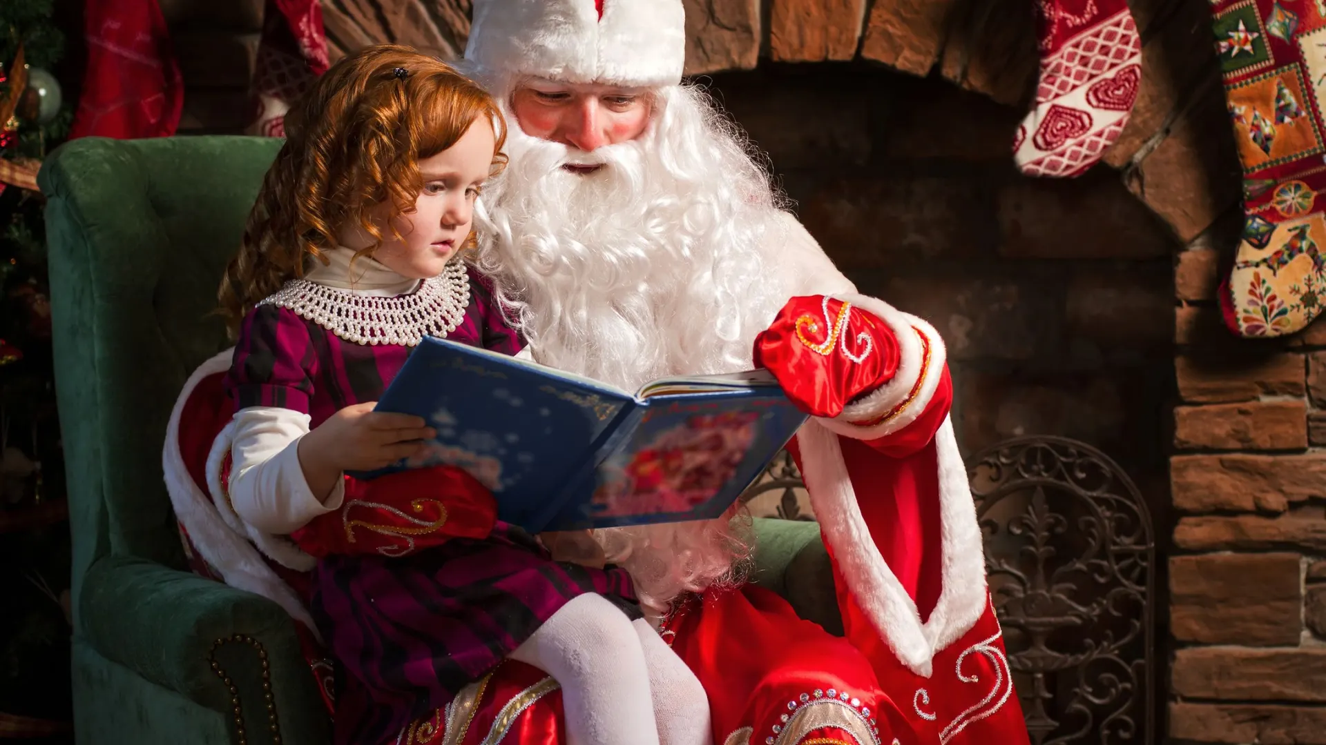 Фото: Shumilina Maria / Shutterstock / Fotodom