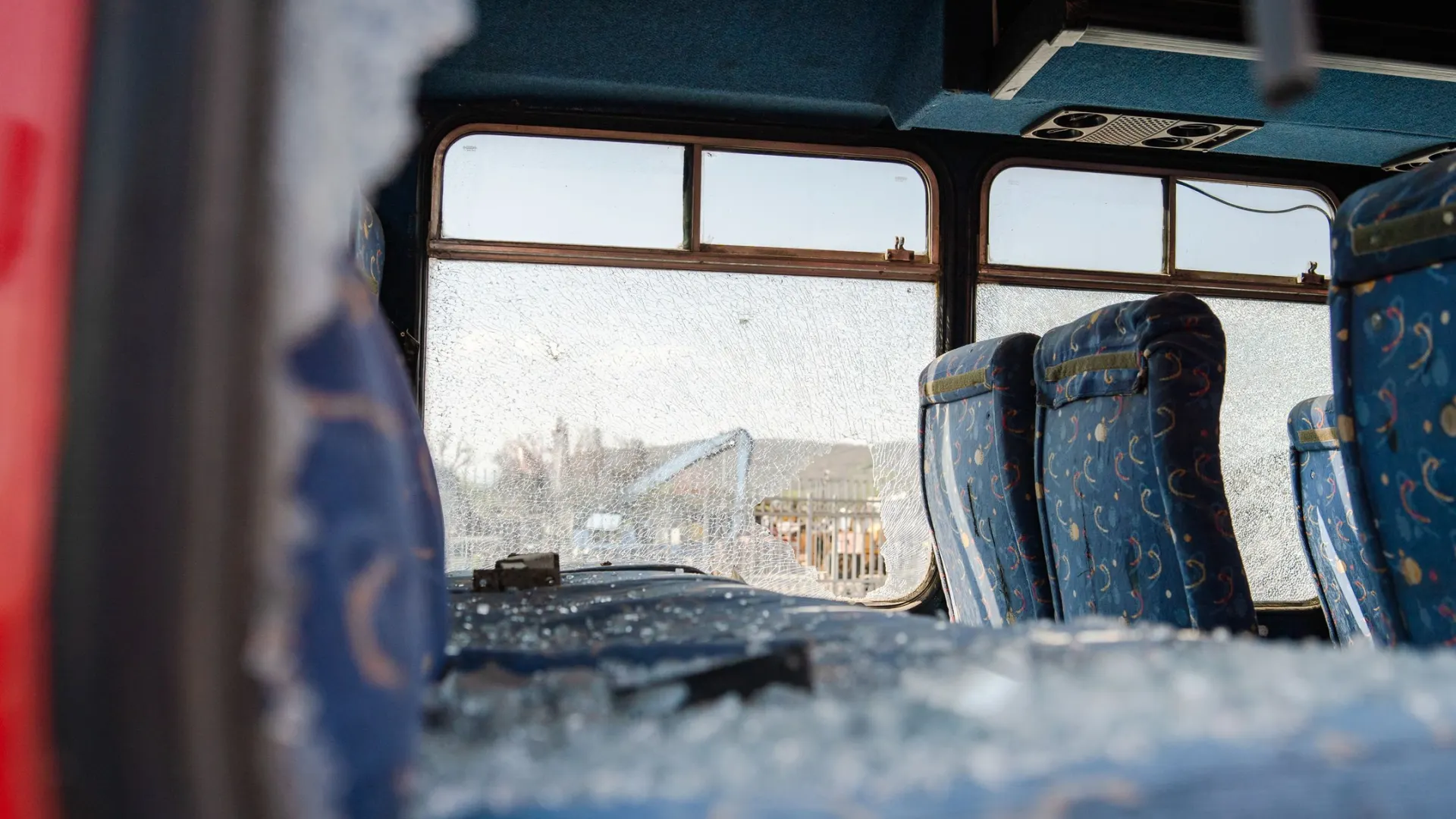 Фото: Miljan Zivkovic / Shutterstock / Fotodom