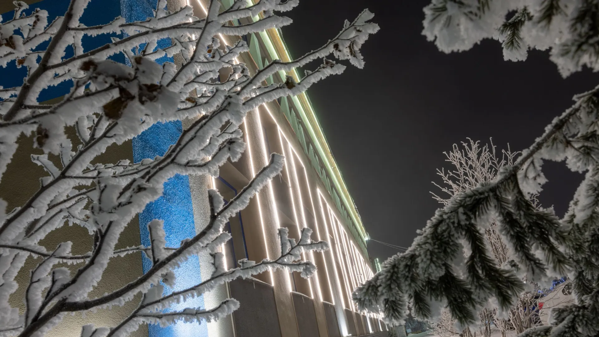 Фото: Федор Воронов / «Ямал-Медиа»