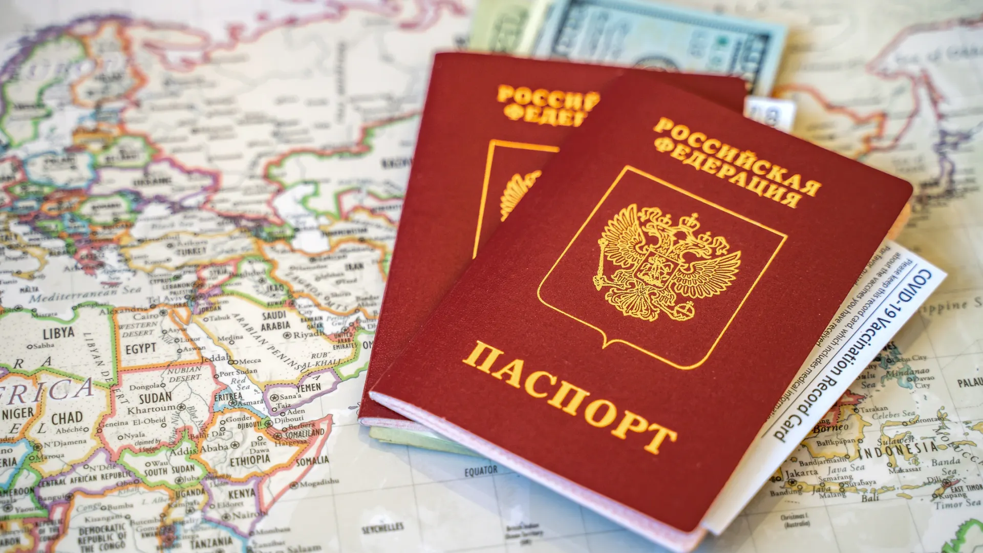 Фото: Iv-olga/Shutterstock/Fotodom