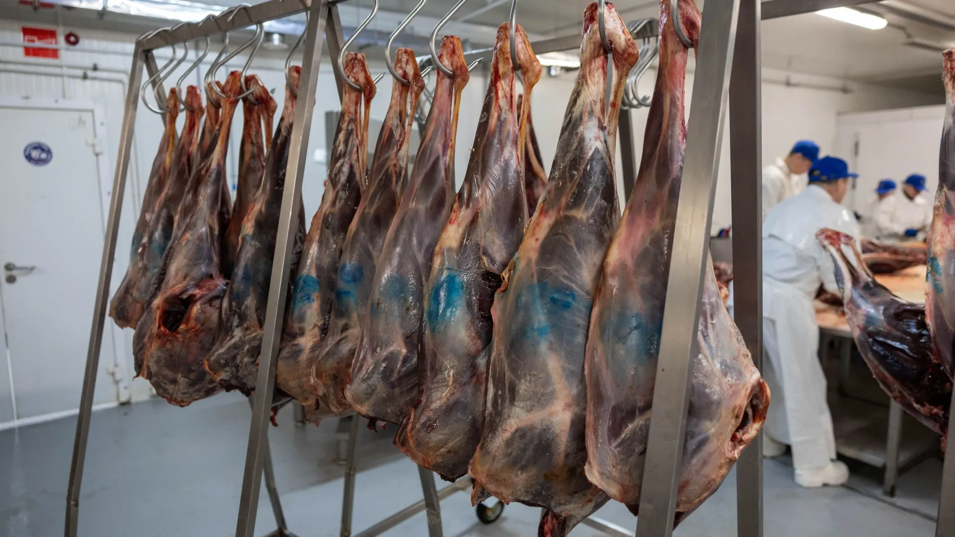 Фото: Александр Чирва / «Ямал-Медиа»