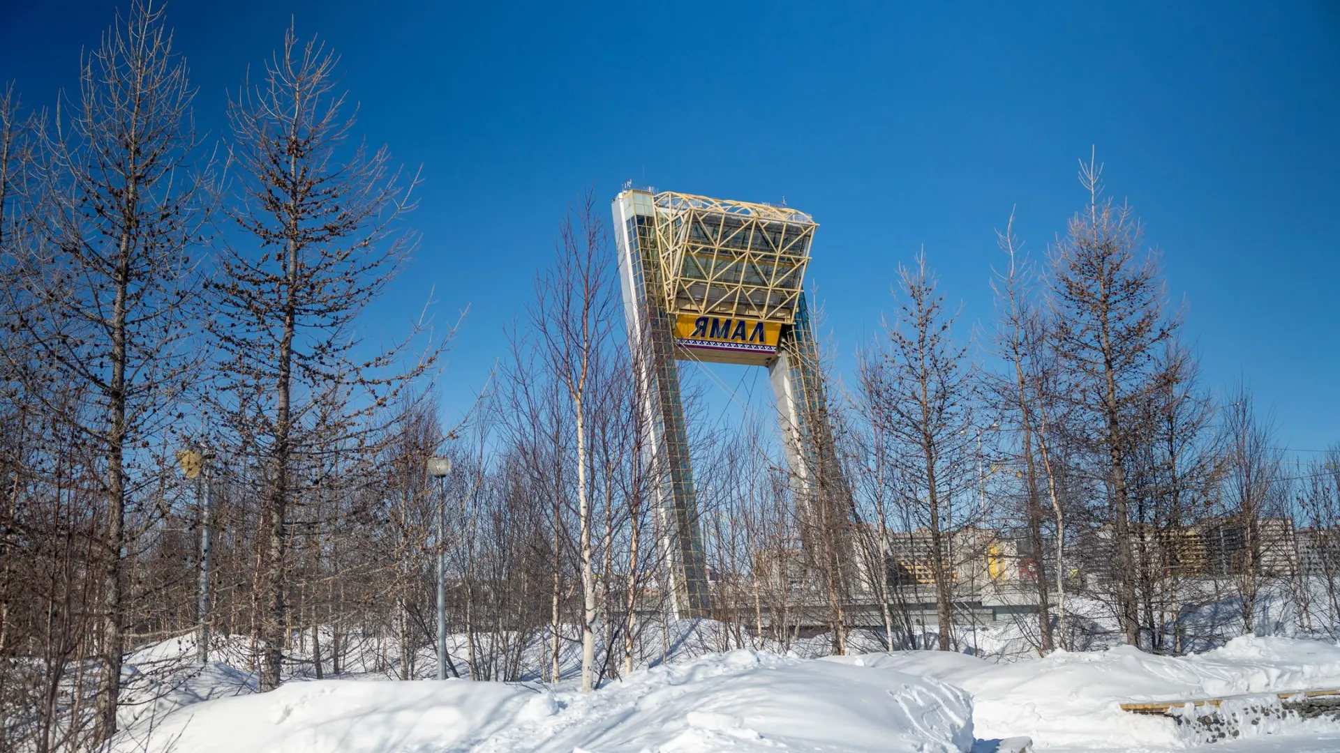 Фото: Федор Воронов / «Ямал-Медиа»