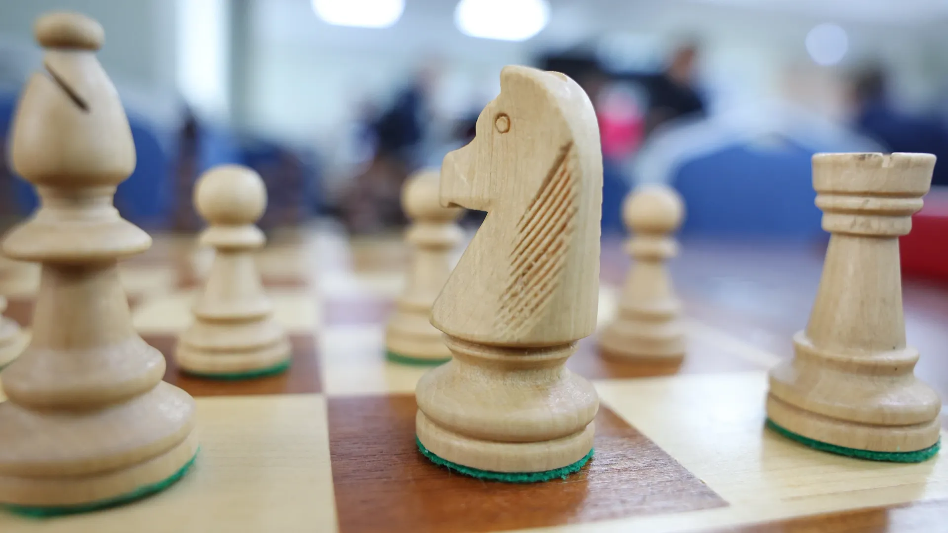 Фото: Андрей Ткачев / «Ямал-Медиа»