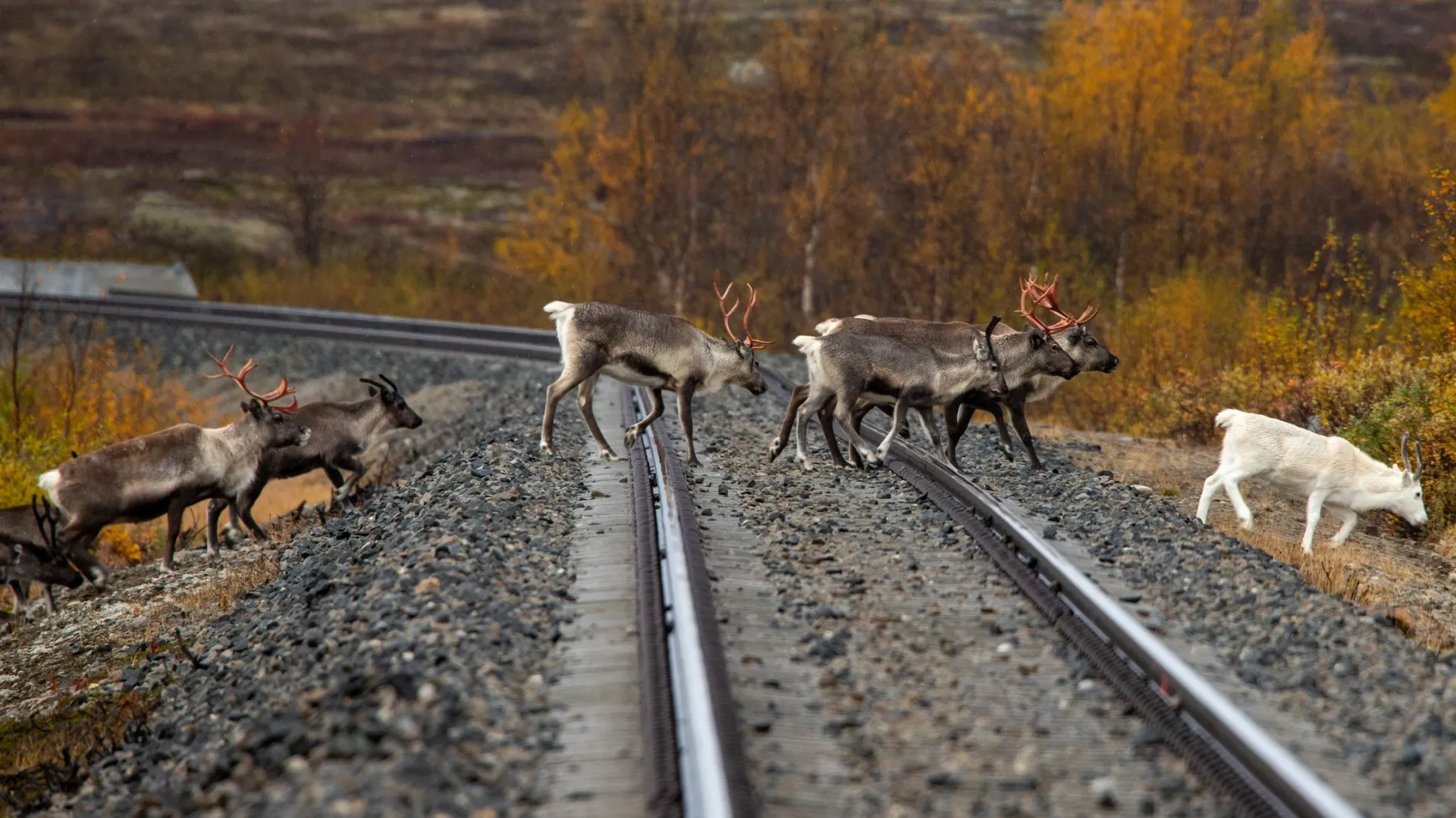 Фото: Vladislav Rumyatsev/Shutterstock/Fotodom