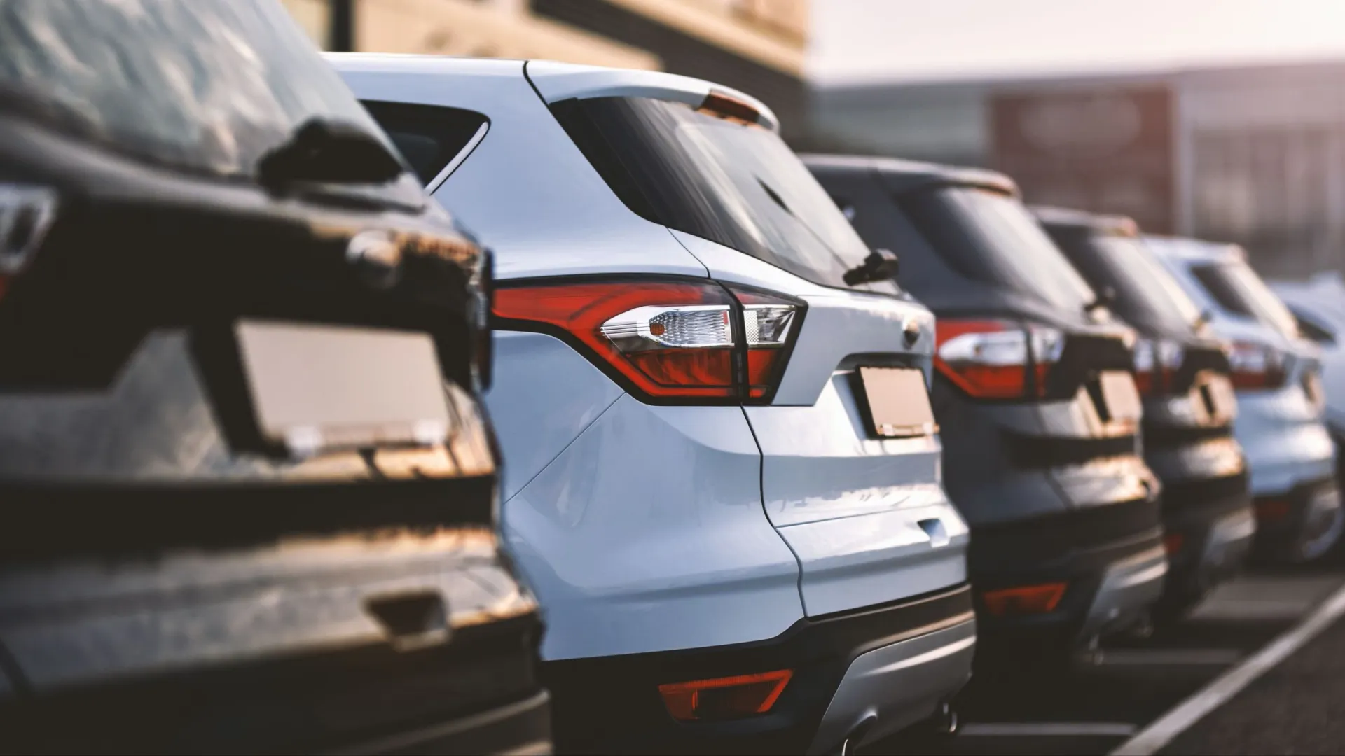 Фото: alexfan32/Shutterstock/Fotodom