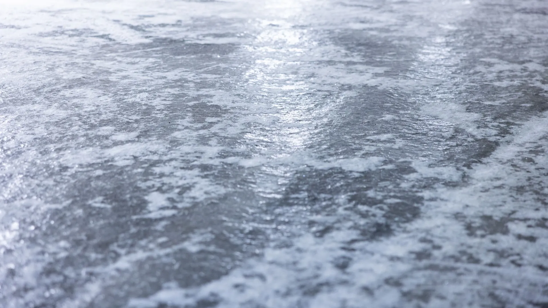 Фото: Федор Воронов / «Ямал-Медиа»