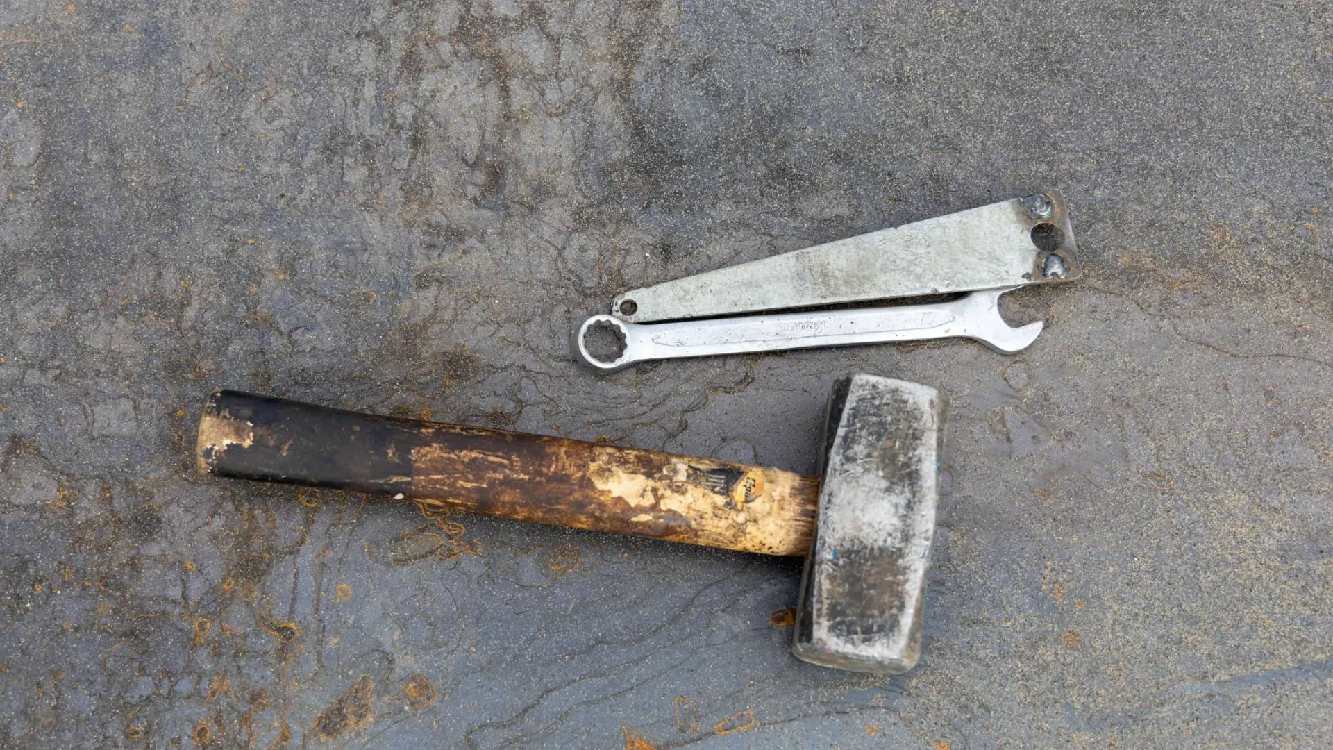 Фото: Федор Воронов / «Ямал-Медиа»