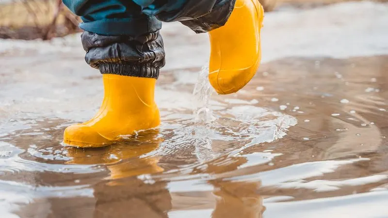 Фото: Ekaterina Kuzovkova / Shutterstock / Fotodom
