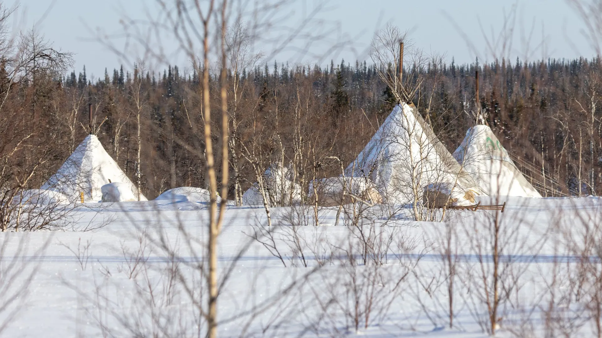 Фото: Федор Воронов / «Ямал-Медиа»
