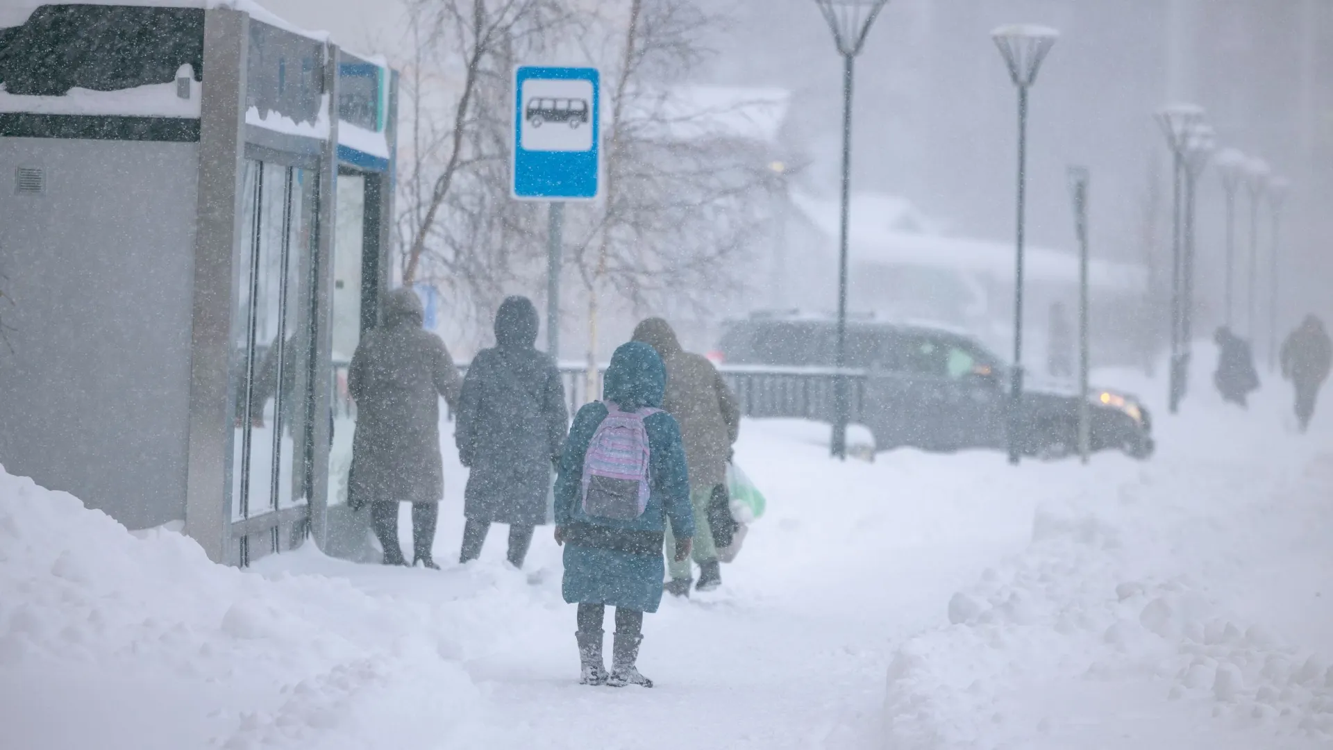 Фото: Сергей Зубков / «Ямал-Медиа»