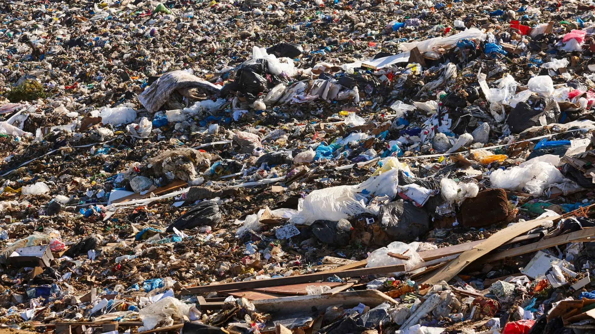 Мусор занимал более 50 тысяч квадратных метров земель. Фото: ABB Photo / Shutterstock / Fotodom