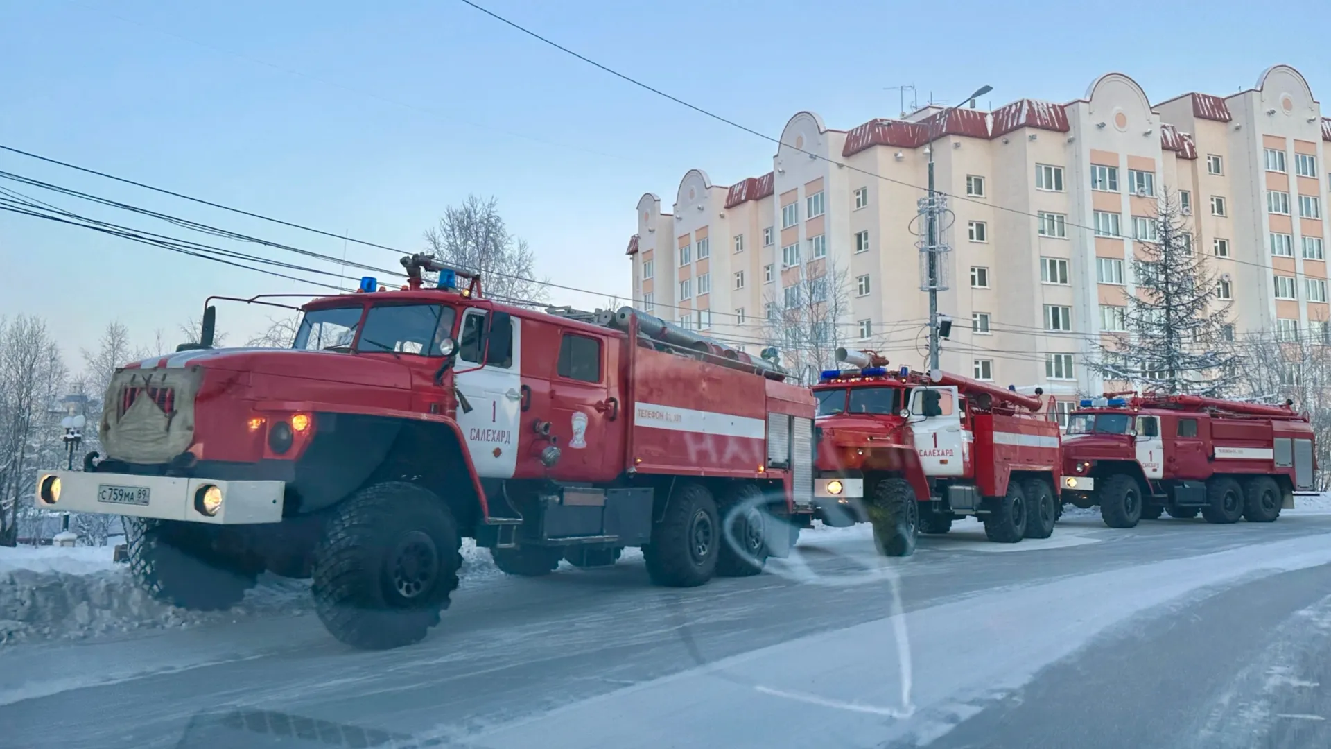 Фото: Андрей Ткачев / «Ямал-Медиа»