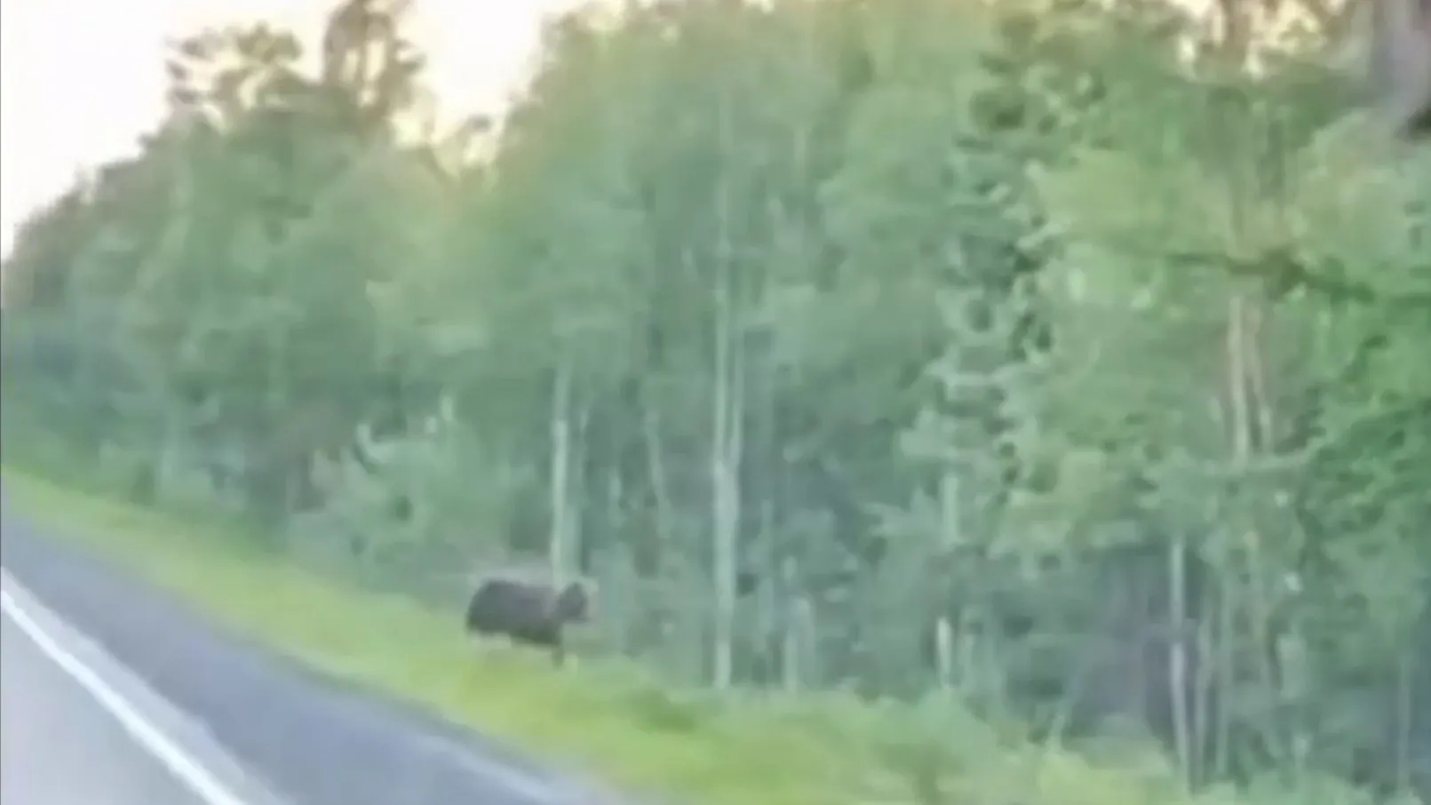 Фото: скриншот видео t.me/noyabrsk_news