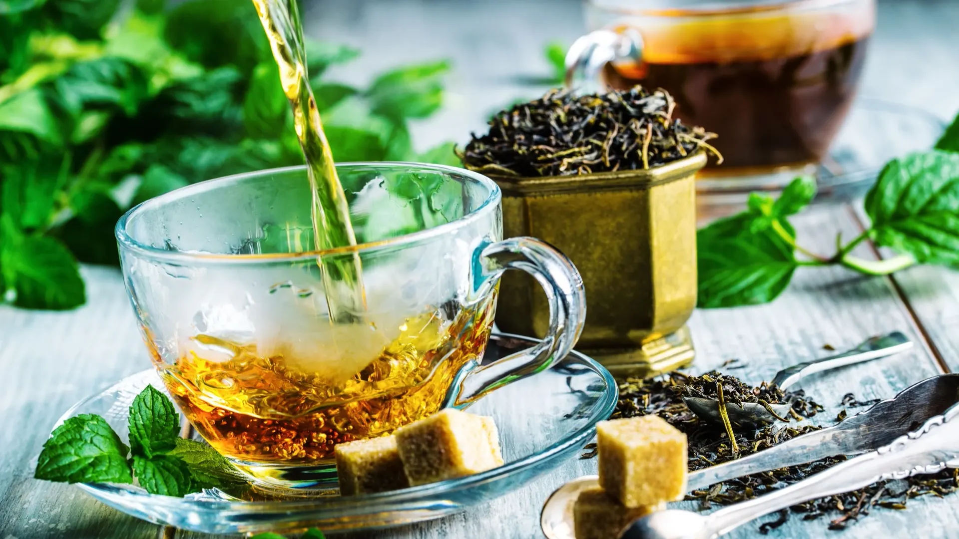 Фото: Marian Weyo / Shutterstock / Fotodom